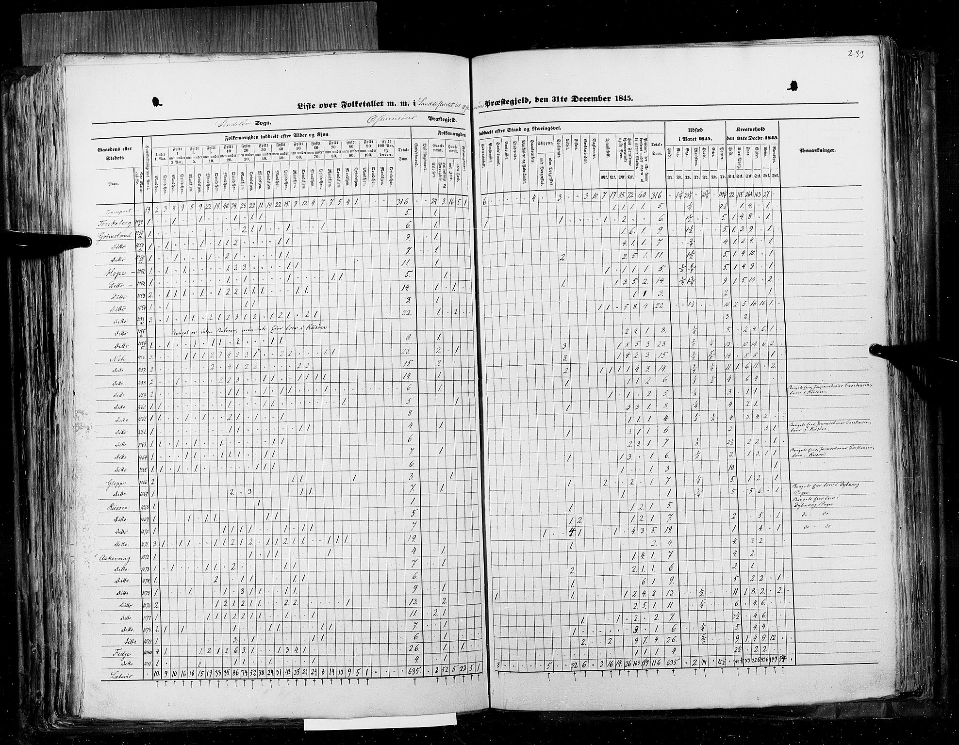 RA, Census 1845, vol. 5: Bratsberg amt og Nedenes og Råbyggelaget amt, 1845, p. 233