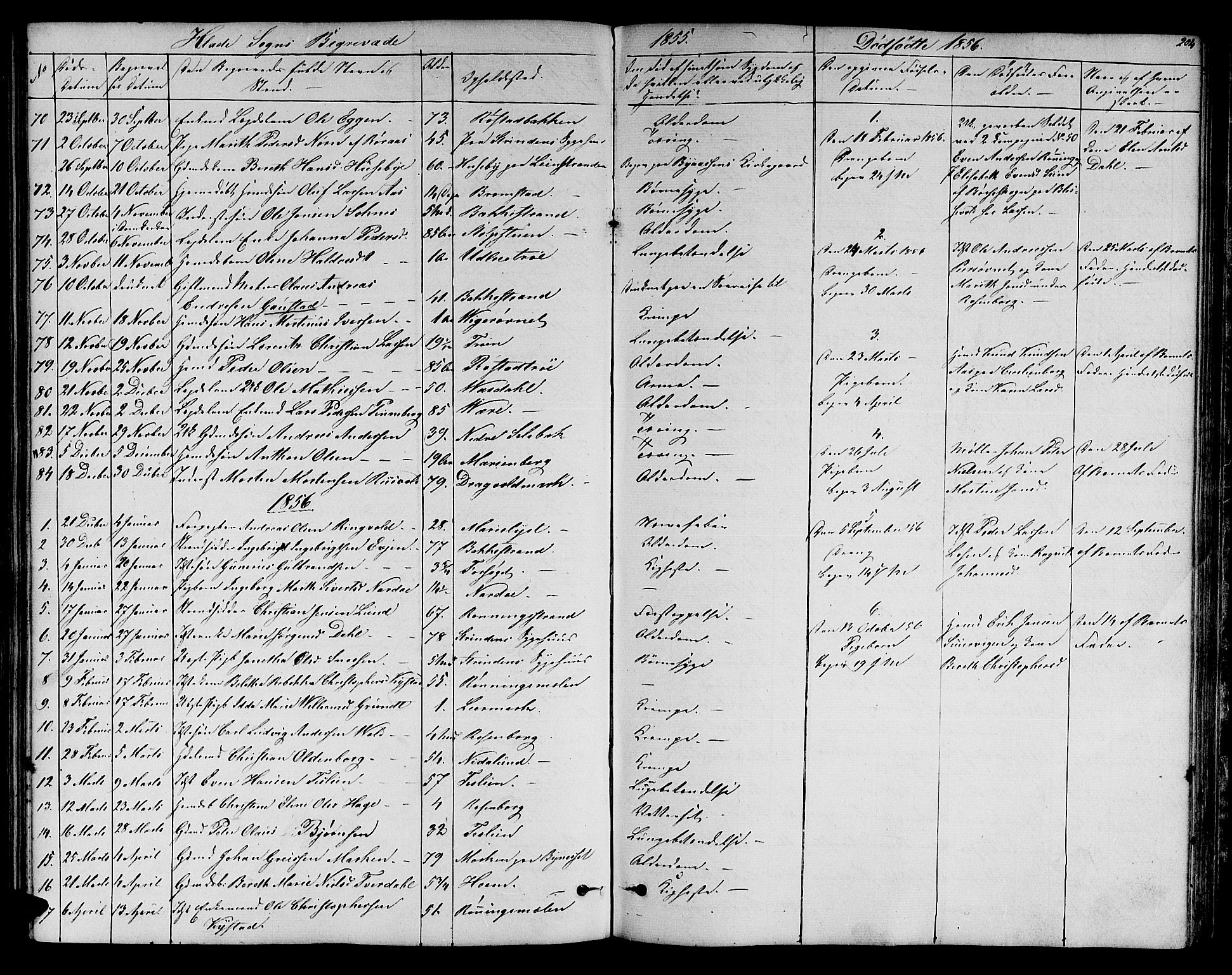Ministerialprotokoller, klokkerbøker og fødselsregistre - Sør-Trøndelag, SAT/A-1456/606/L0310: Parish register (copy) no. 606C06, 1850-1859, p. 204