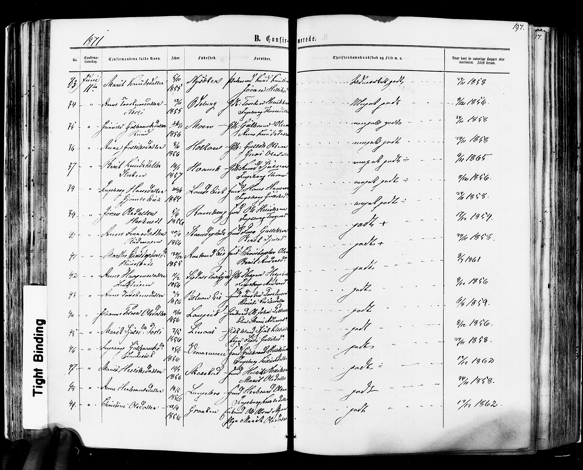 Flesberg kirkebøker, SAKO/A-18/F/Fa/L0007: Parish register (official) no. I 7, 1861-1878, p. 197