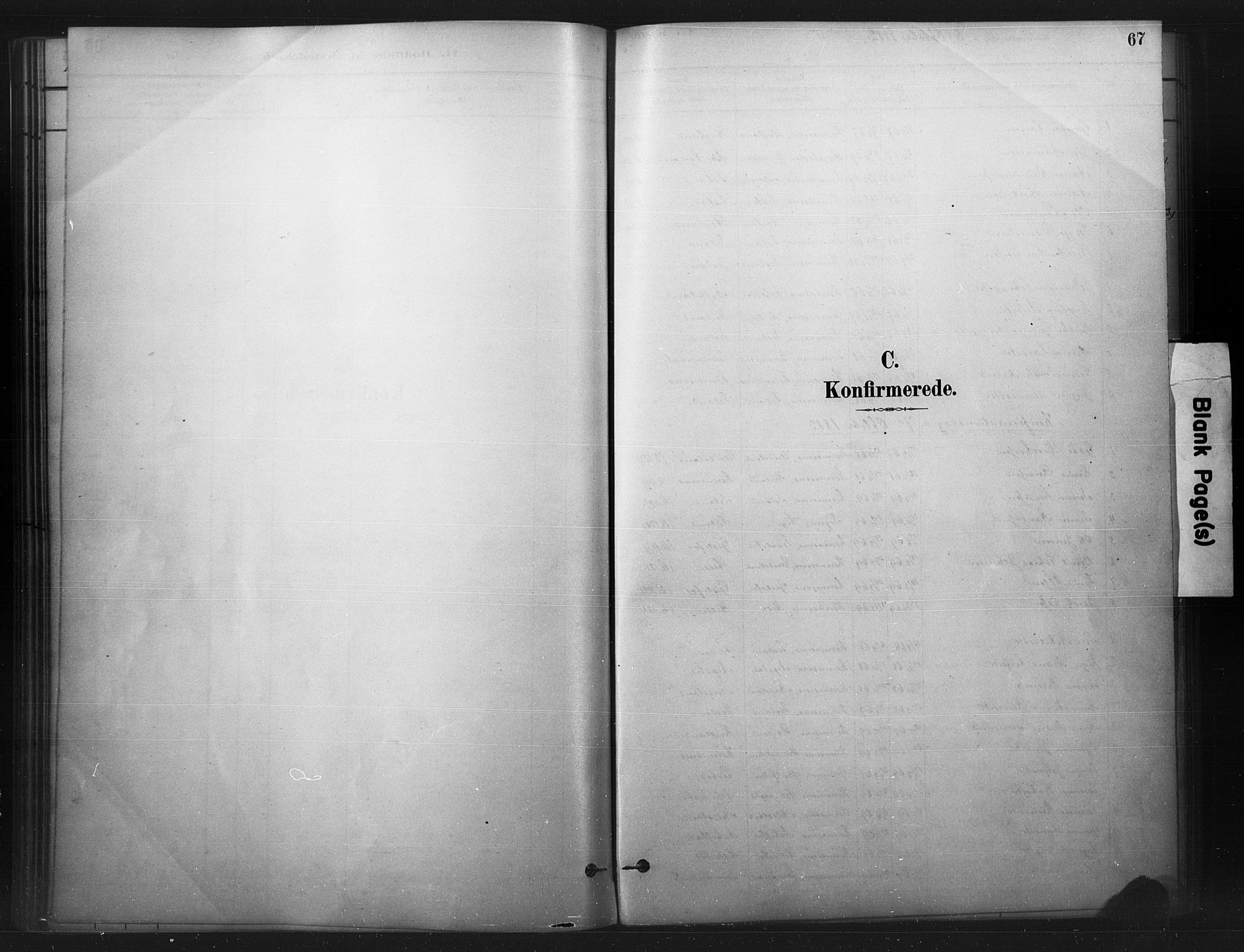 Nord-Audnedal sokneprestkontor, SAK/1111-0032/F/Fa/Faa/L0003: Parish register (official) no. A 3, 1882-1900, p. 67