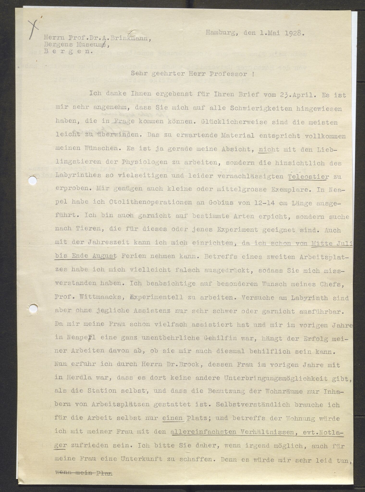 Bergens Museum, AV/SAB-A-17301/13/D/L0002: Korrespondanse , 1928-1940, p. 303