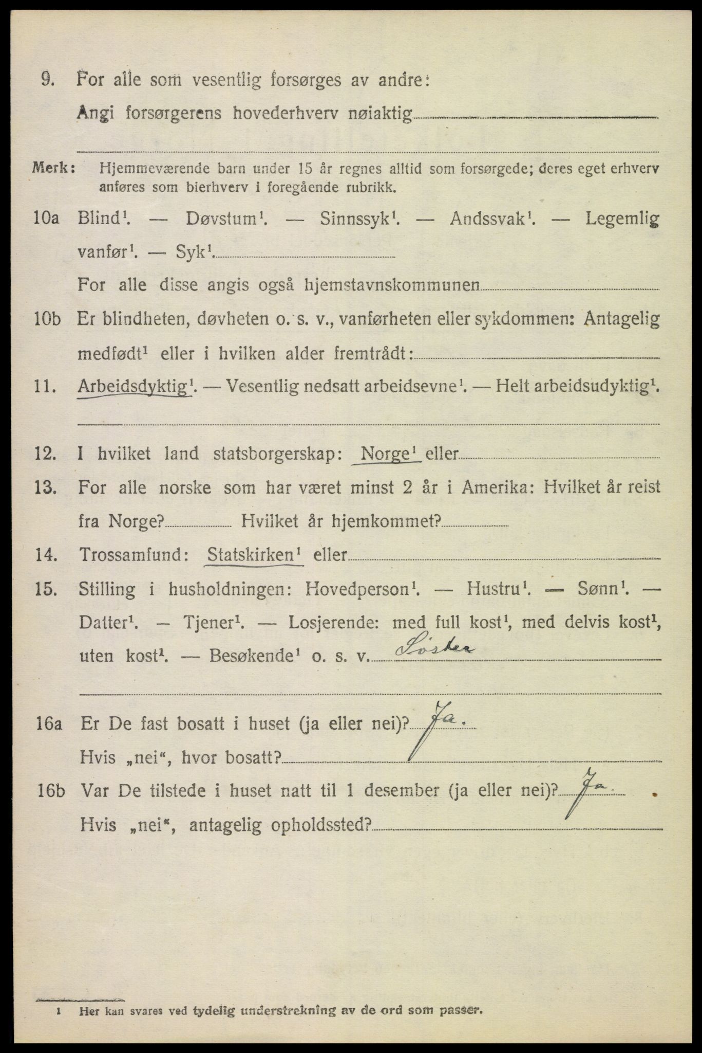 SAH, 1920 census for Vang (Hedmark), 1920, p. 16032