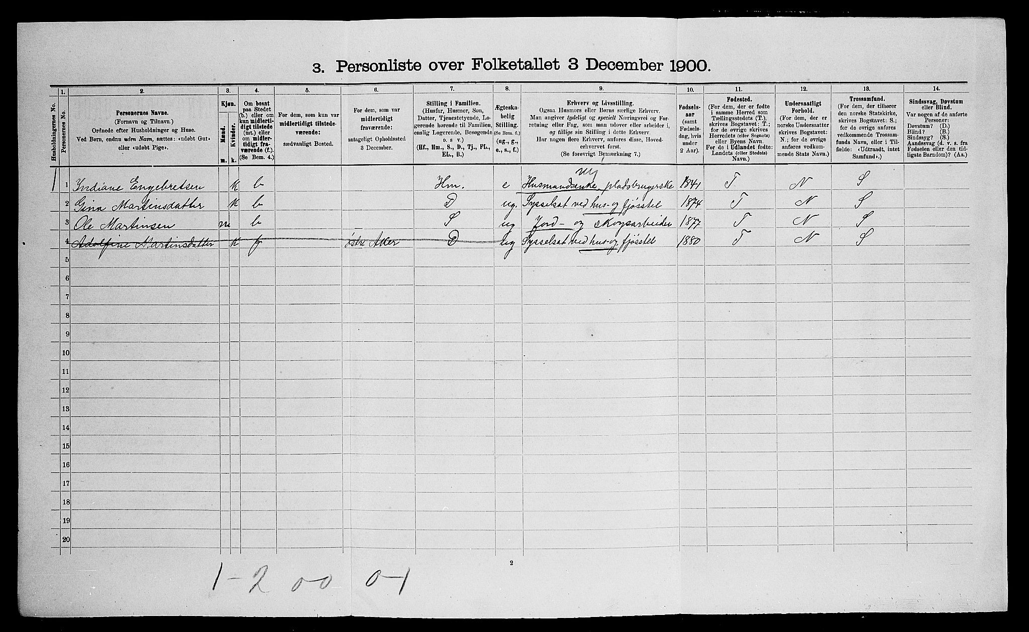 SAO, 1900 census for Nes, 1900