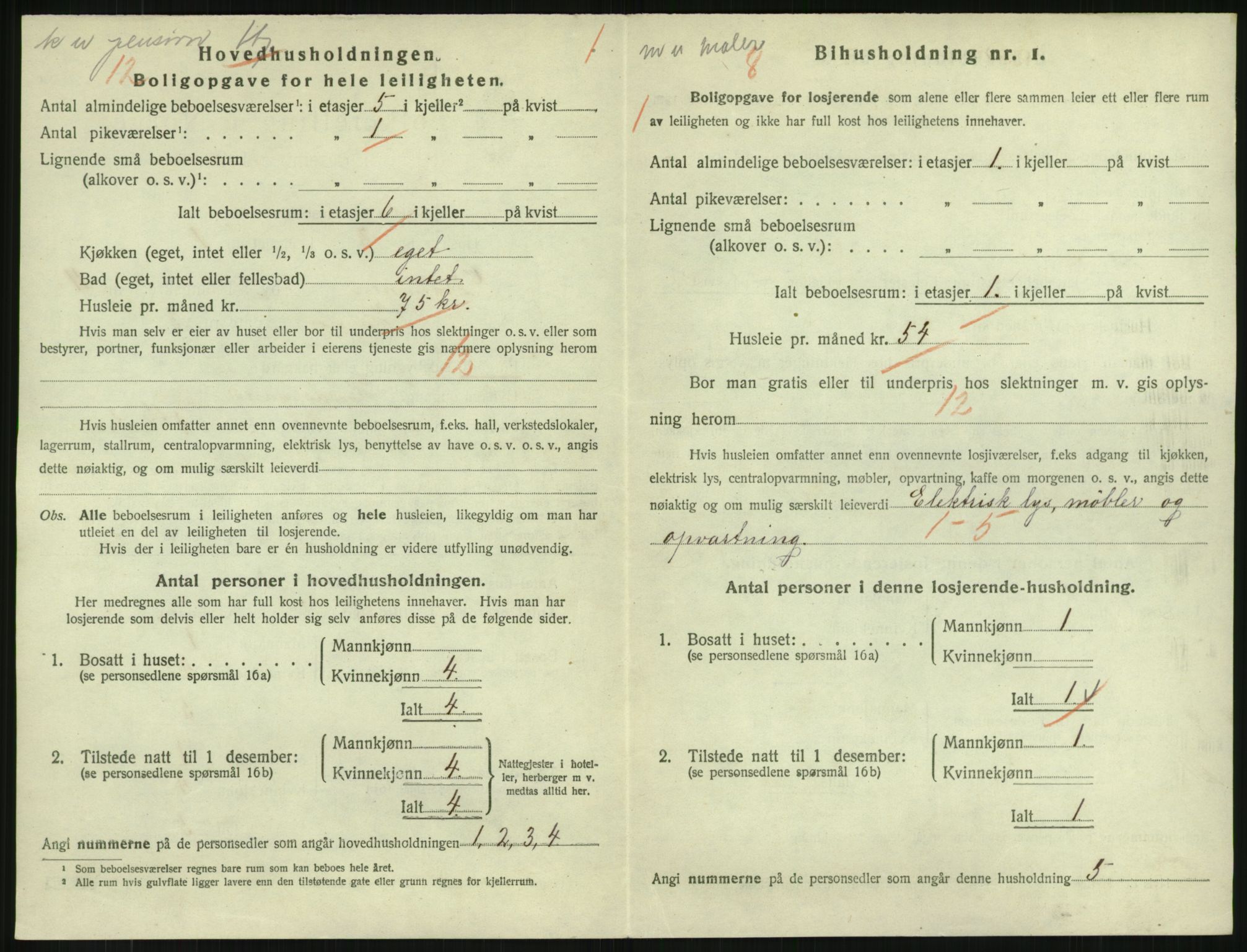 SAKO, 1920 census for Drammen, 1920, p. 17024