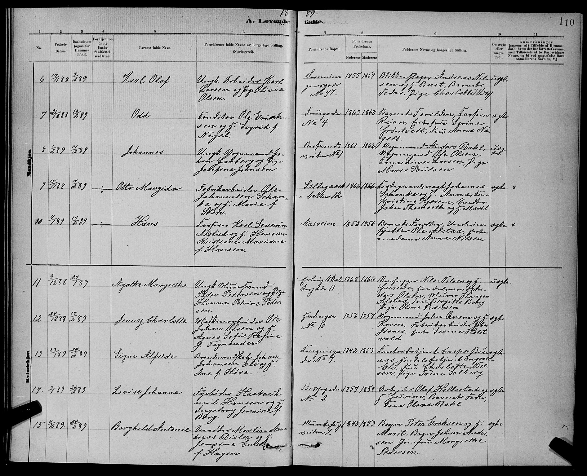 Ministerialprotokoller, klokkerbøker og fødselsregistre - Sør-Trøndelag, AV/SAT-A-1456/601/L0092: Parish register (copy) no. 601C10, 1884-1897, p. 110