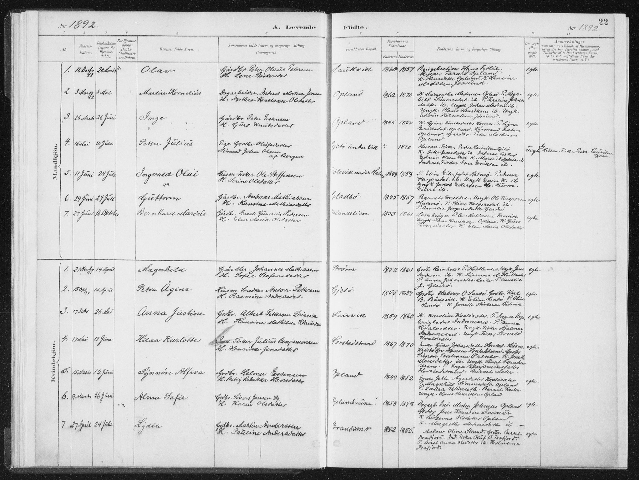 Ministerialprotokoller, klokkerbøker og fødselsregistre - Nord-Trøndelag, SAT/A-1458/771/L0597: Parish register (official) no. 771A04, 1885-1910, p. 22