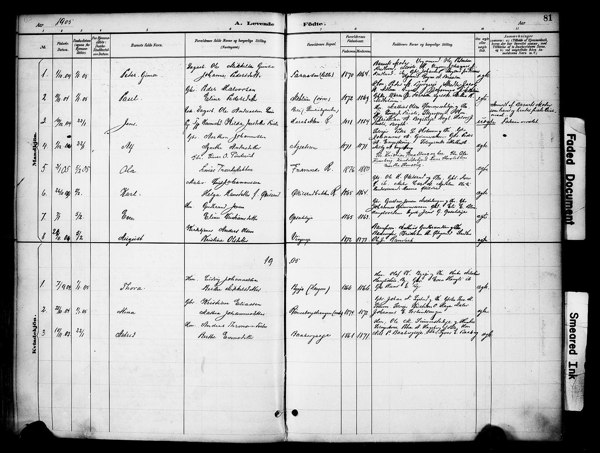 Ringsaker prestekontor, SAH/PREST-014/K/Ka/L0016: Parish register (official) no. 16, 1891-1904, p. 81