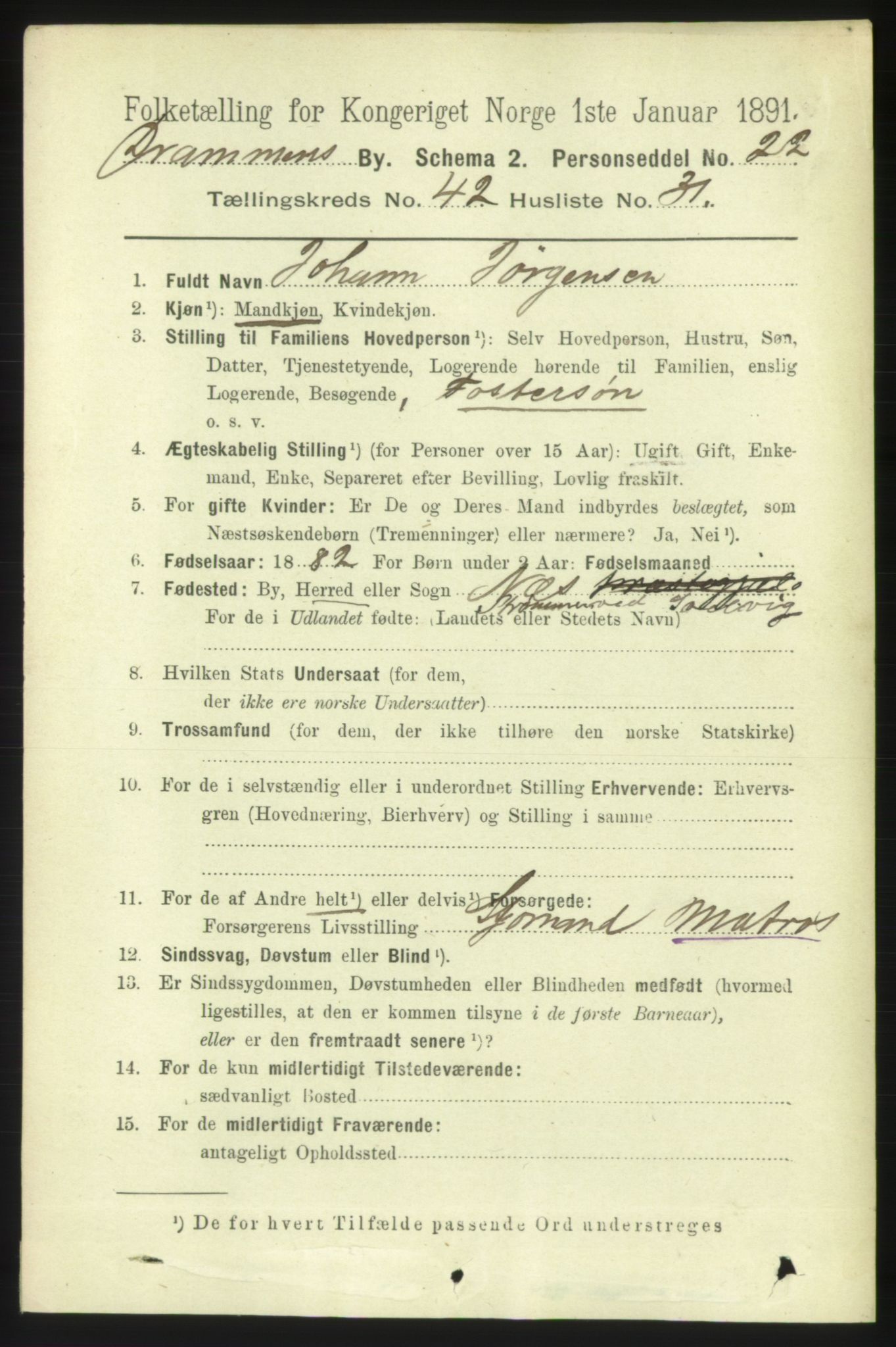 RA, 1891 census for 0602 Drammen, 1891, p. 24876