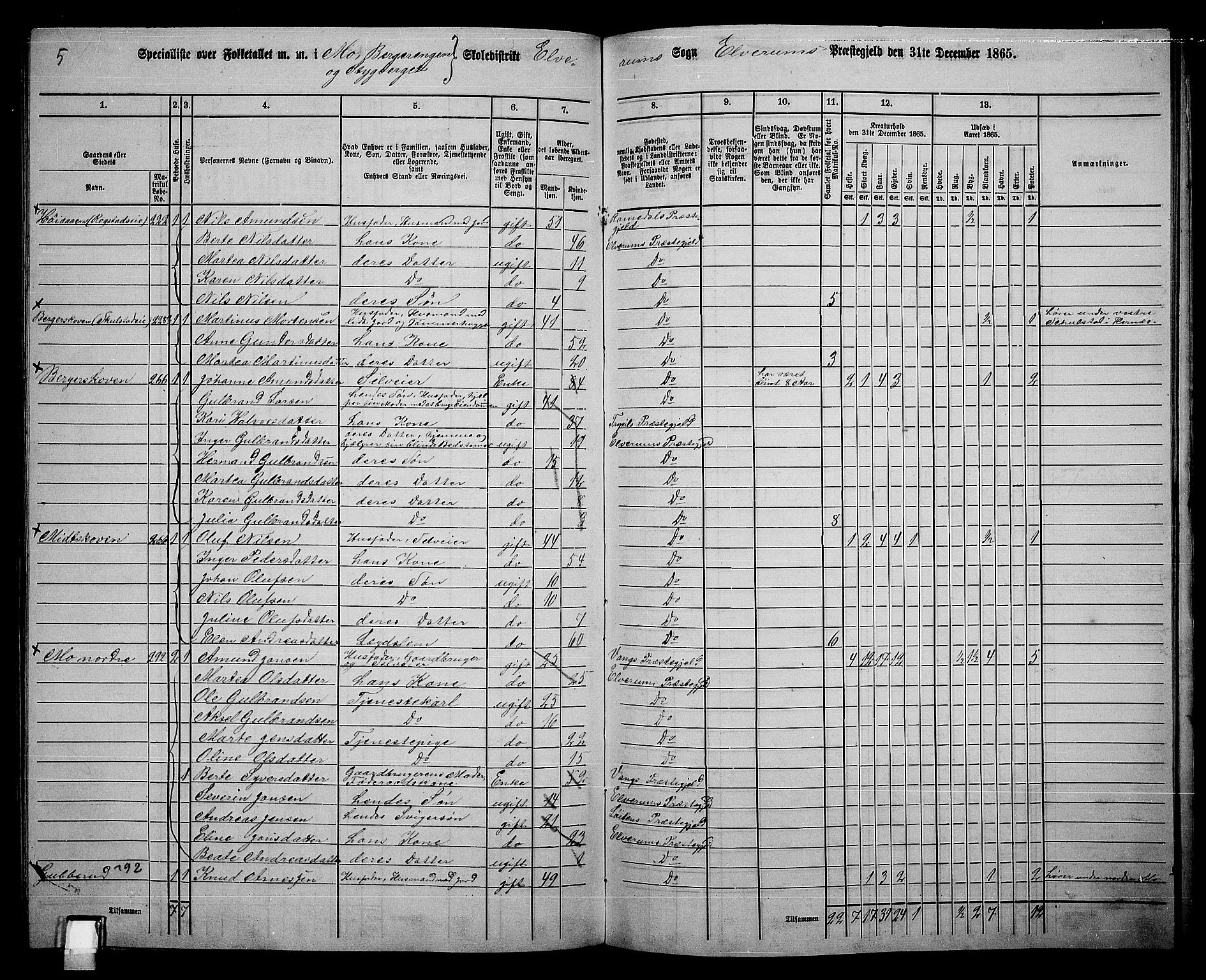 RA, 1865 census for Elverum, 1865, p. 210