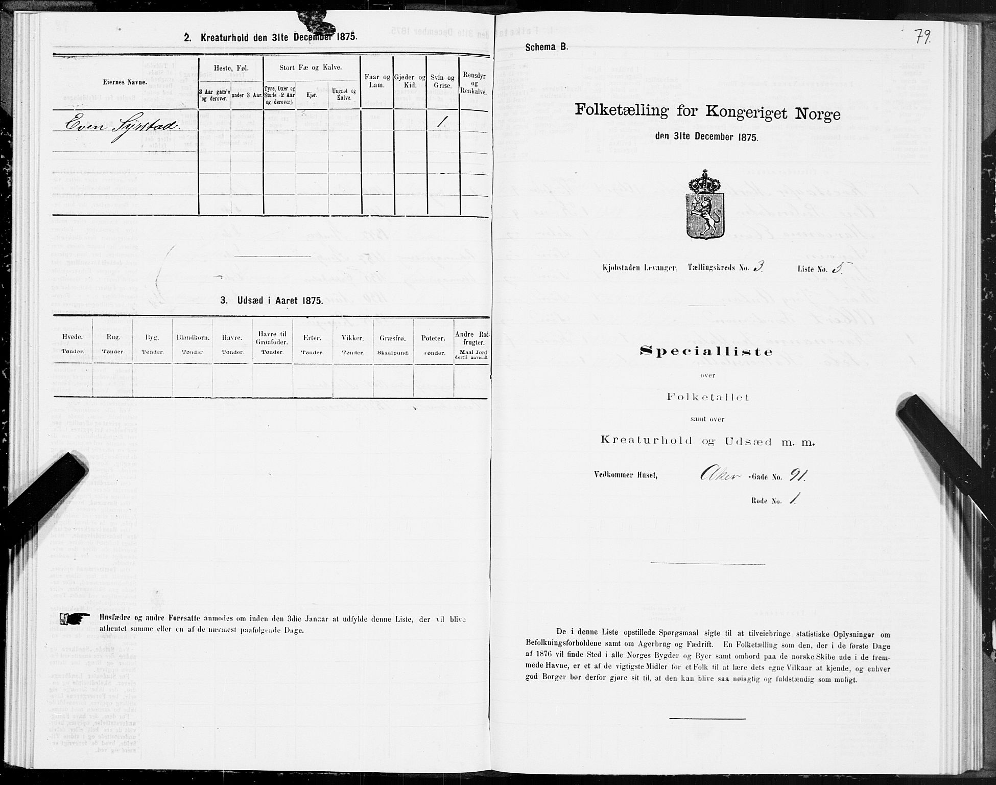 SAT, 1875 census for 1701B Levanger/Levanger, 1875, p. 79