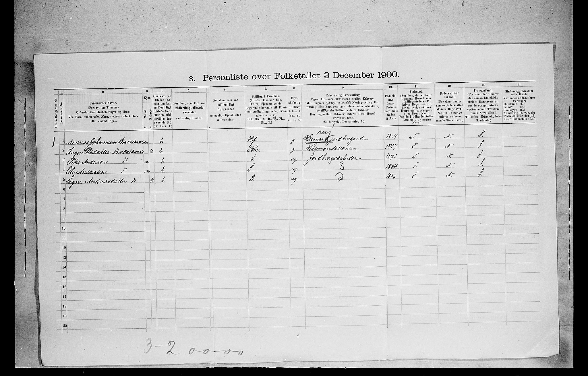 SAH, 1900 census for Vinger, 1900, p. 1001