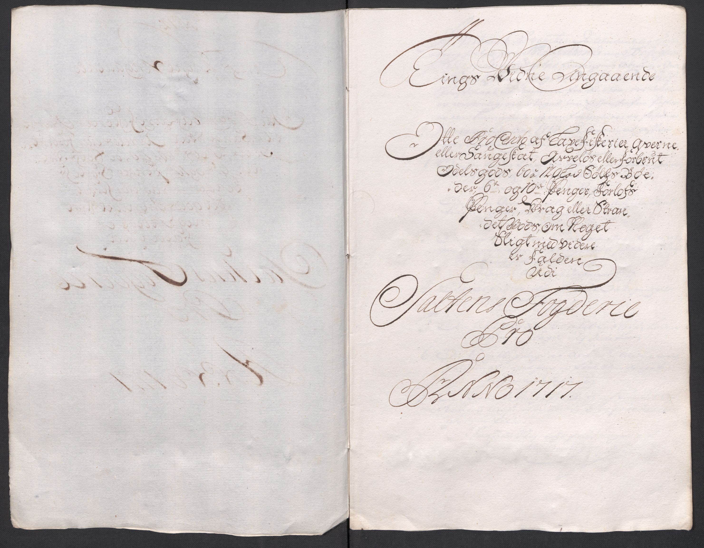 Rentekammeret inntil 1814, Reviderte regnskaper, Fogderegnskap, AV/RA-EA-4092/R66/L4587: Fogderegnskap Salten, 1717, p. 139