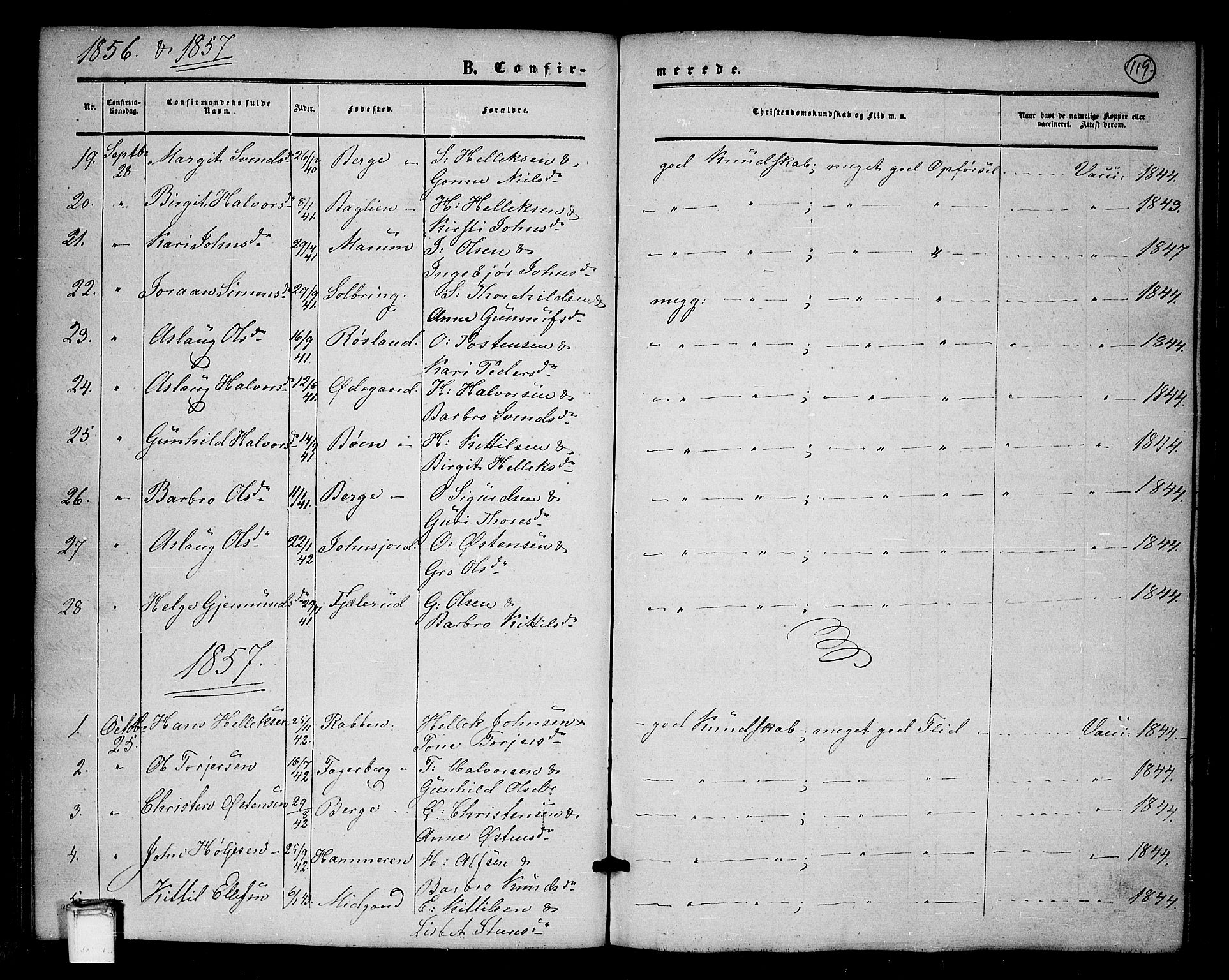 Tinn kirkebøker, SAKO/A-308/G/Ga/L0002: Parish register (copy) no. I 2, 1851-1883, p. 119