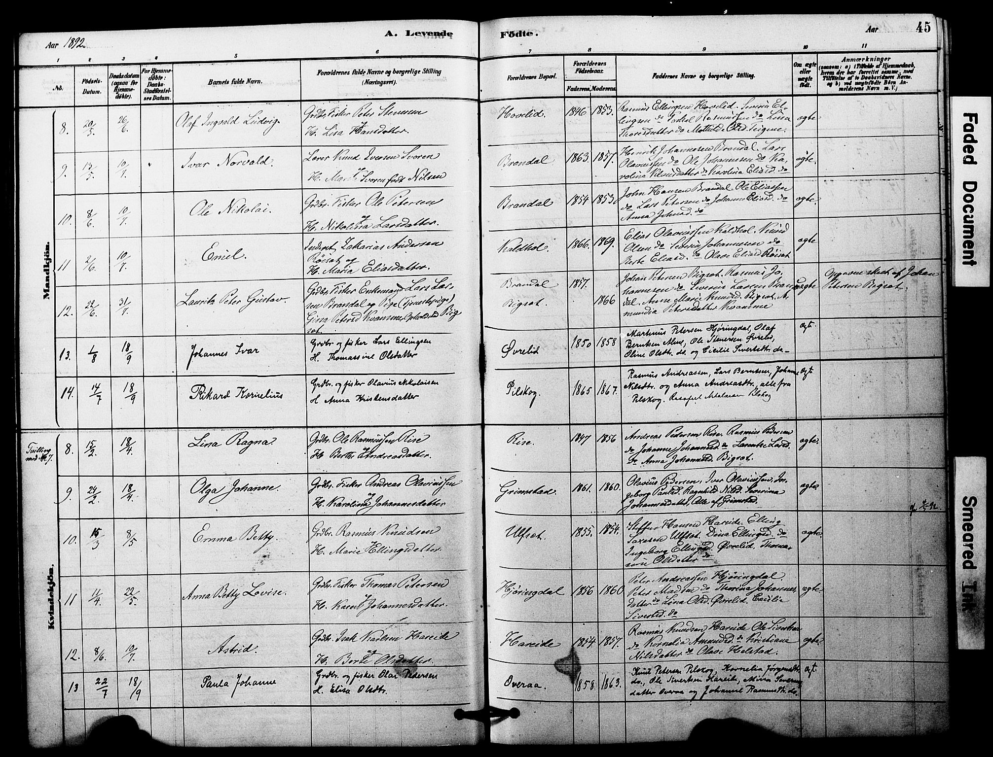 Ministerialprotokoller, klokkerbøker og fødselsregistre - Møre og Romsdal, AV/SAT-A-1454/510/L0122: Parish register (official) no. 510A02, 1878-1897, p. 45