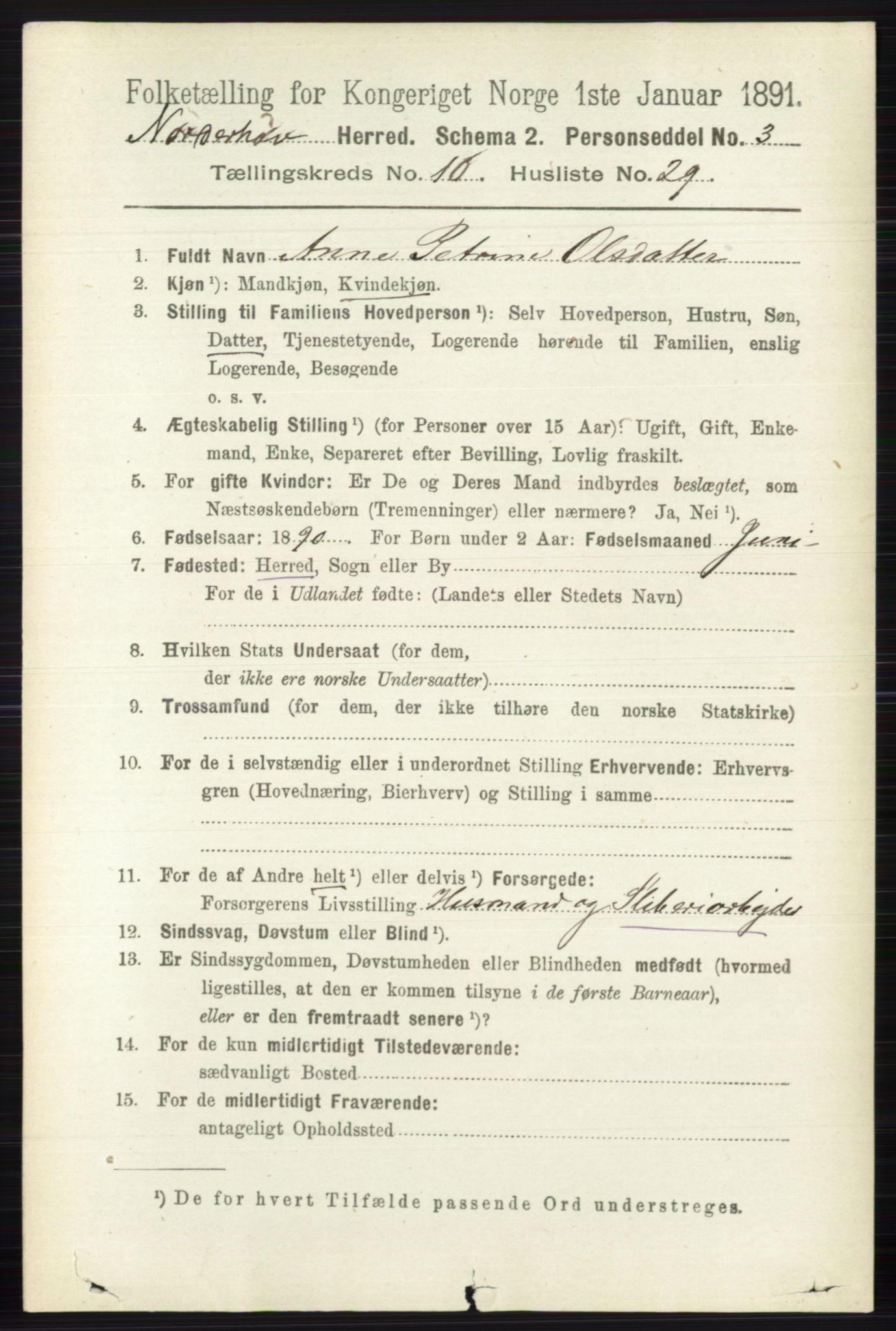 RA, 1891 census for 0613 Norderhov, 1891, p. 7666