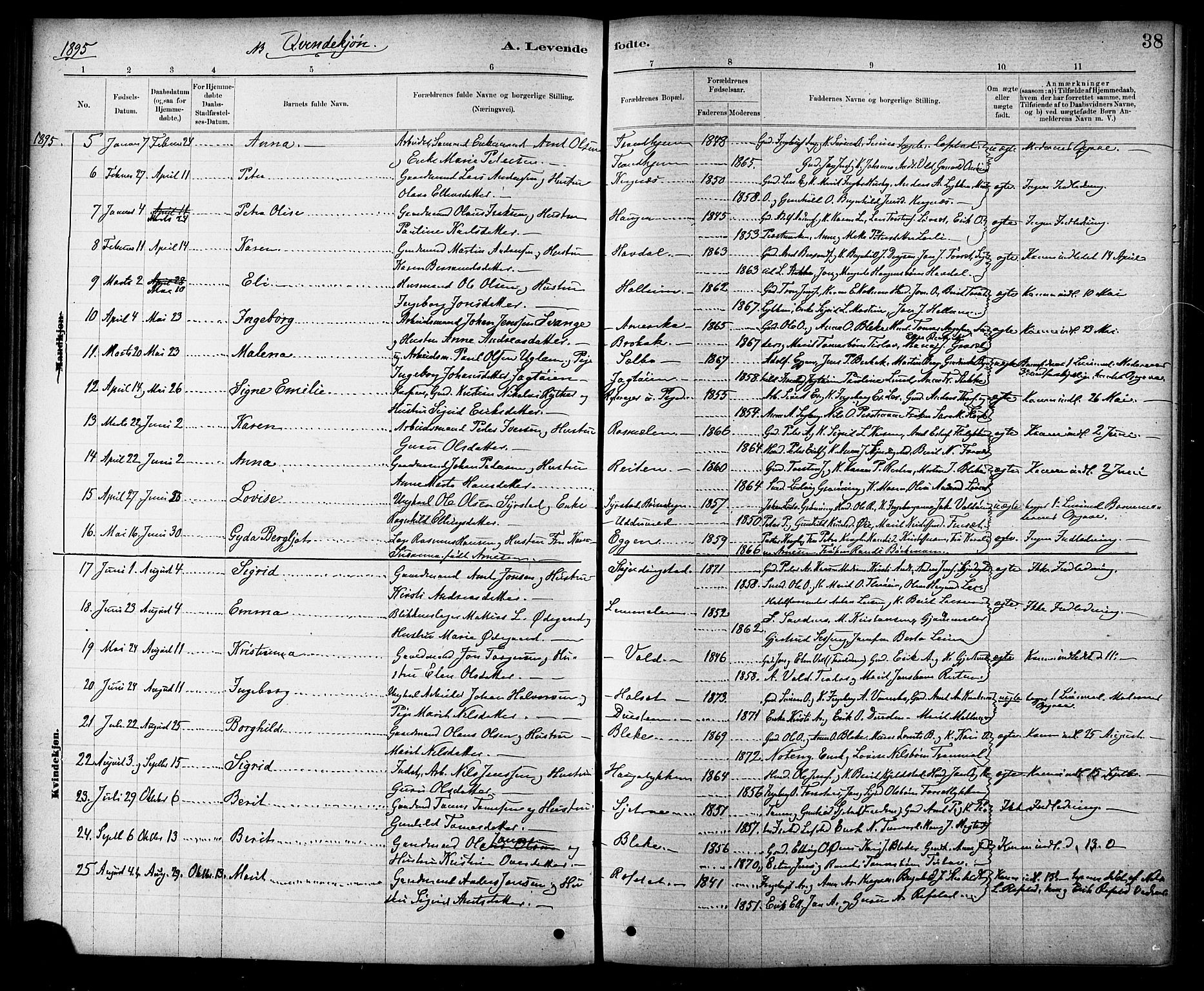 Ministerialprotokoller, klokkerbøker og fødselsregistre - Sør-Trøndelag, AV/SAT-A-1456/691/L1094: Parish register (copy) no. 691C05, 1879-1911, p. 38