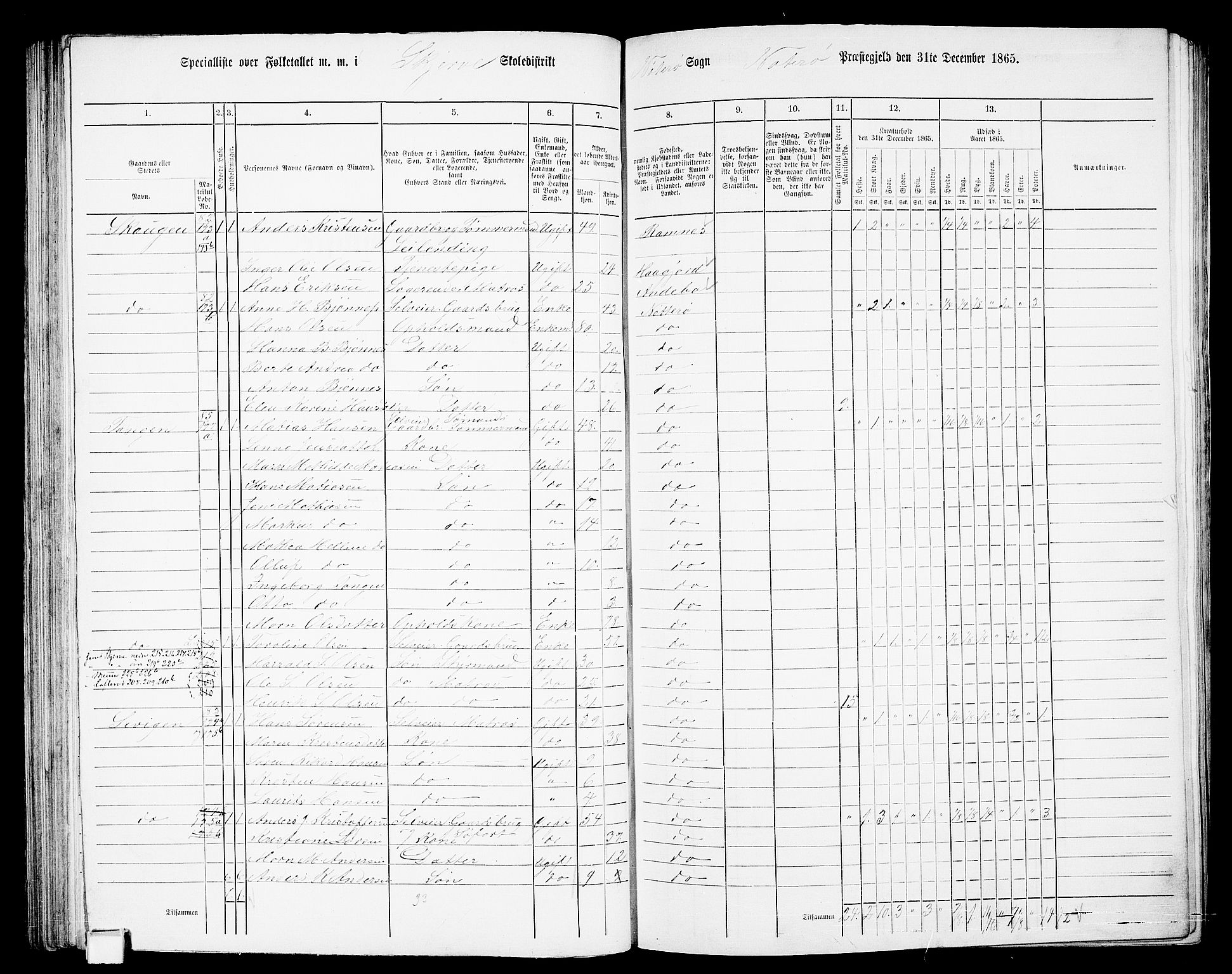 RA, 1865 census for Nøtterøy, 1865, p. 126