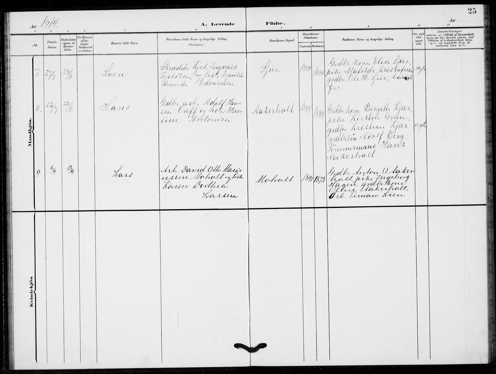 Hof kirkebøker, AV/SAKO-A-64/G/Gb/L0003: Parish register (copy) no. II 3, 1902-1917, p. 25