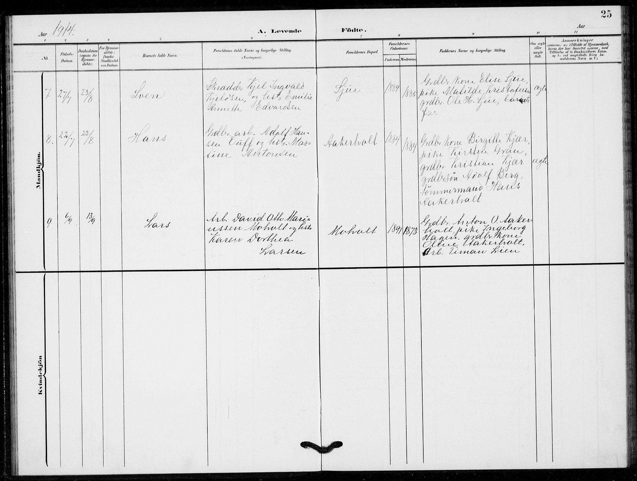 Hof kirkebøker, SAKO/A-64/G/Gb/L0003: Parish register (copy) no. II 3, 1902-1917, p. 25