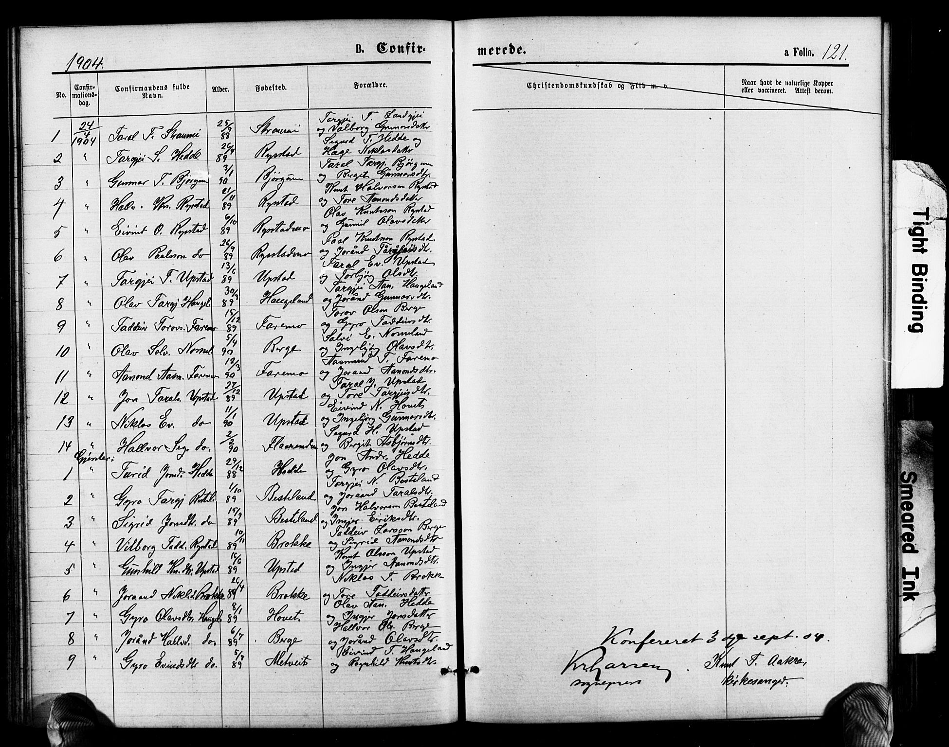 Valle sokneprestkontor, SAK/1111-0044/F/Fb/Fbb/L0002: Parish register (copy) no. B 2, 1875-1921, p. 121