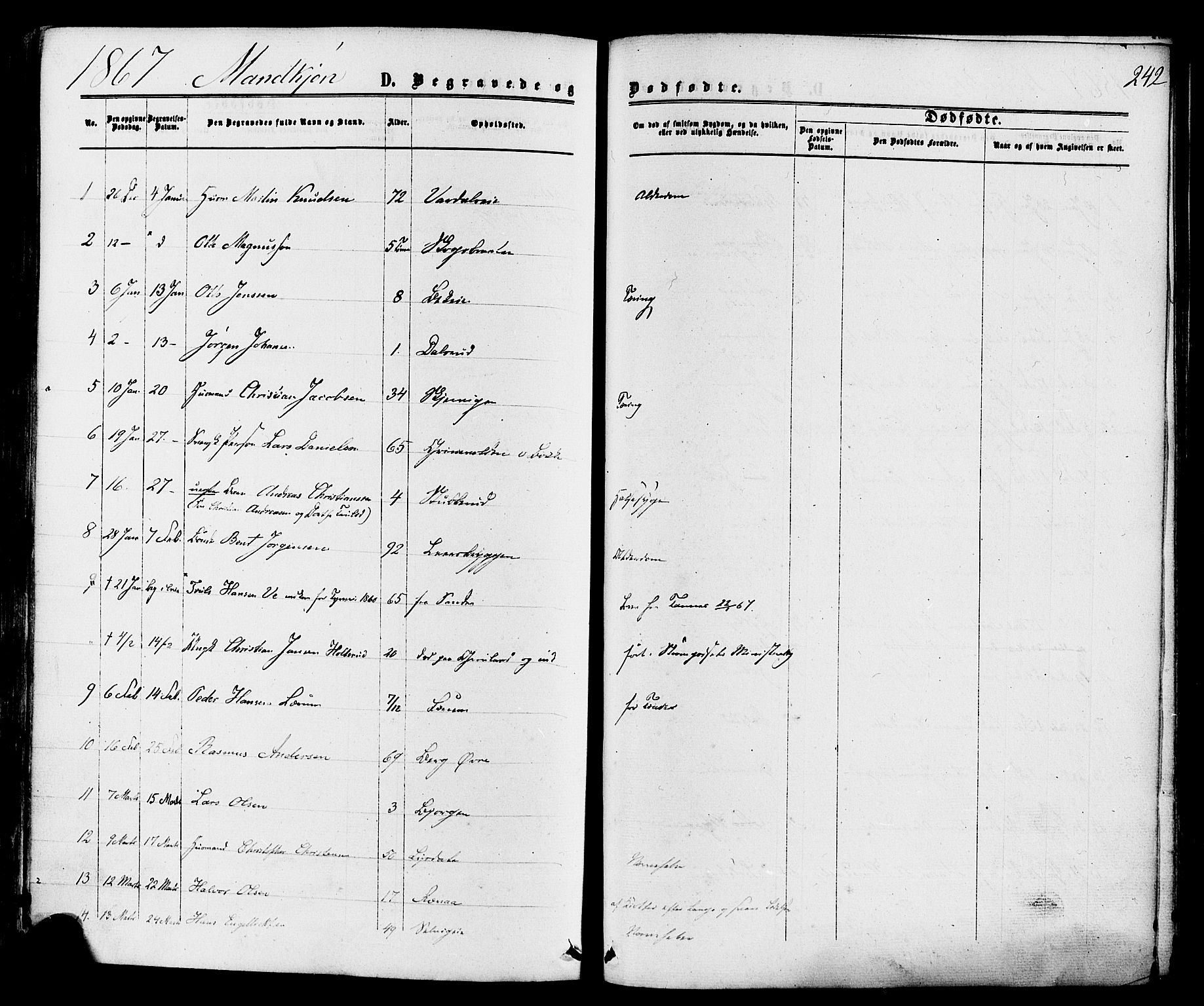 Sande Kirkebøker, SAKO/A-53/F/Fa/L0005: Parish register (official) no. 5, 1865-1877, p. 242