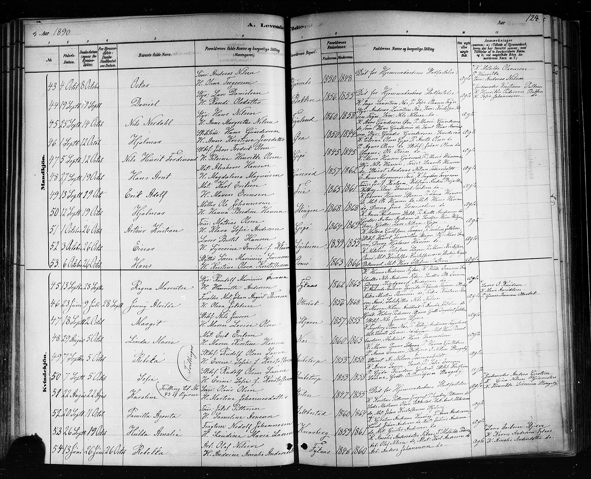 Nøtterøy kirkebøker, SAKO/A-354/F/Fa/L0008: Parish register (official) no. I 8, 1878-1893, p. 124