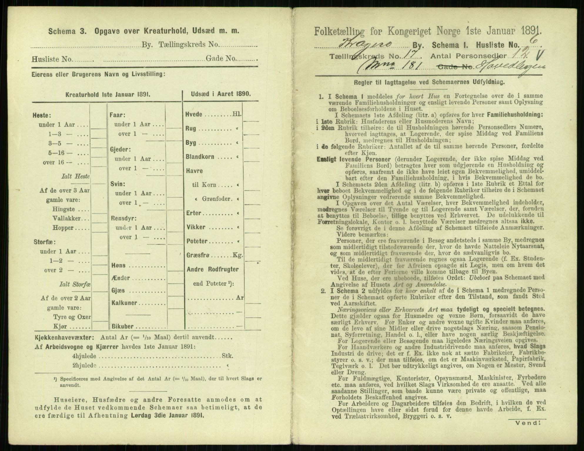 RA, 1891 census for 0801 Kragerø, 1891, p. 748