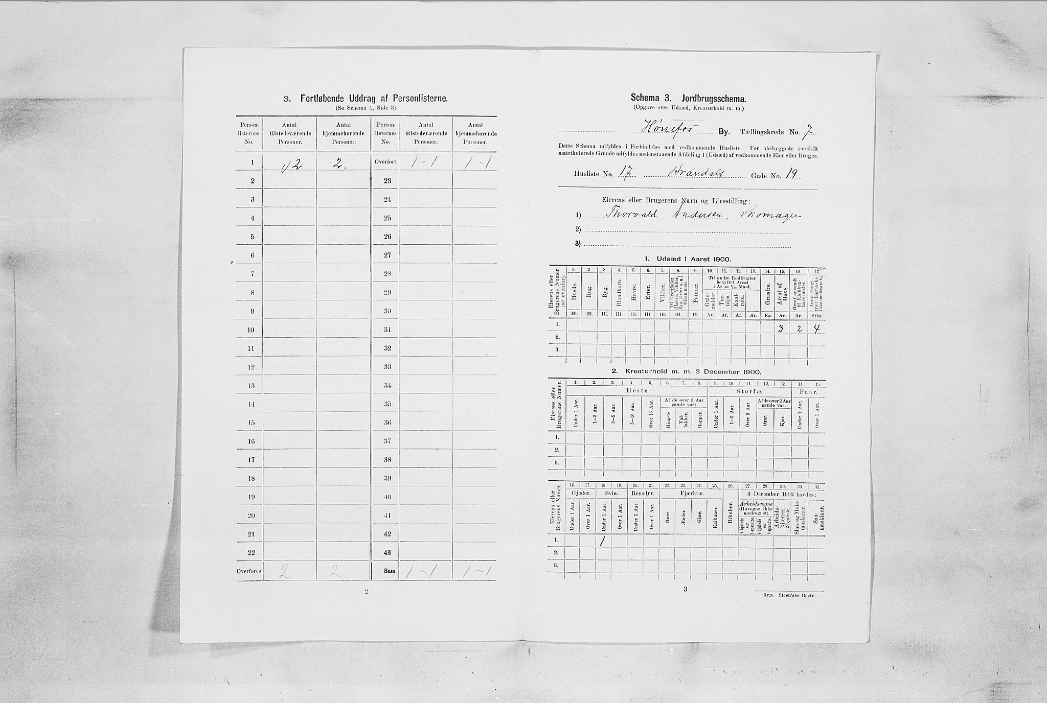 RA, 1900 census for Hønefoss, 1900, p. 714