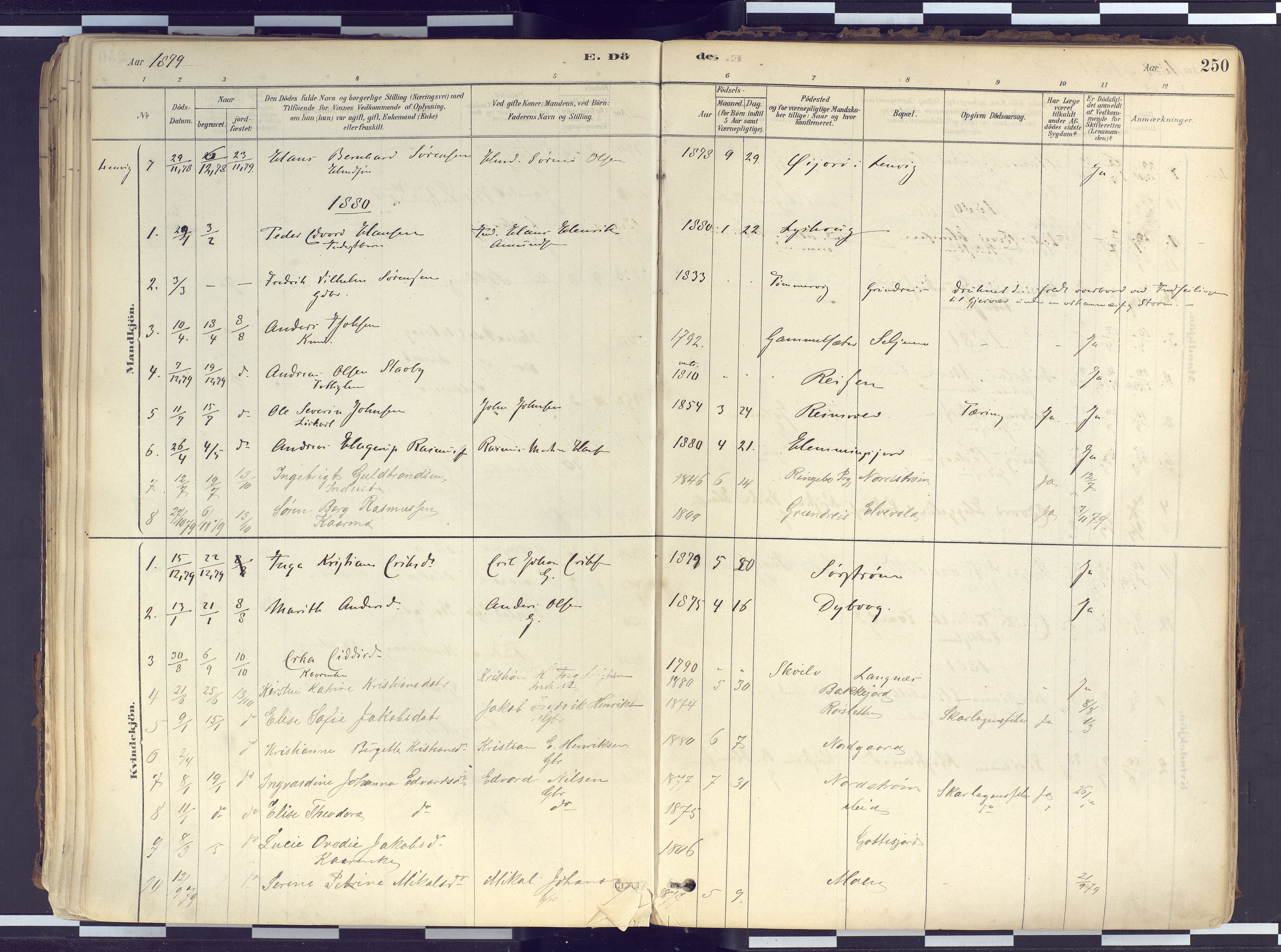 Tranøy sokneprestkontor, AV/SATØ-S-1313/I/Ia/Iaa/L0010kirke: Parish register (official) no. 10, 1878-1904, p. 250