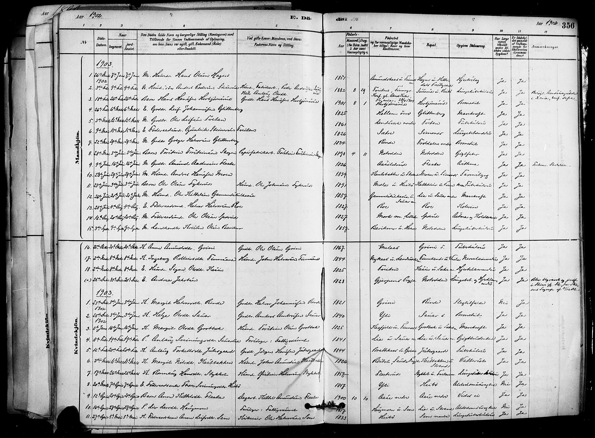 Heddal kirkebøker, SAKO/A-268/F/Fa/L0008: Parish register (official) no. I 8, 1878-1903, p. 356