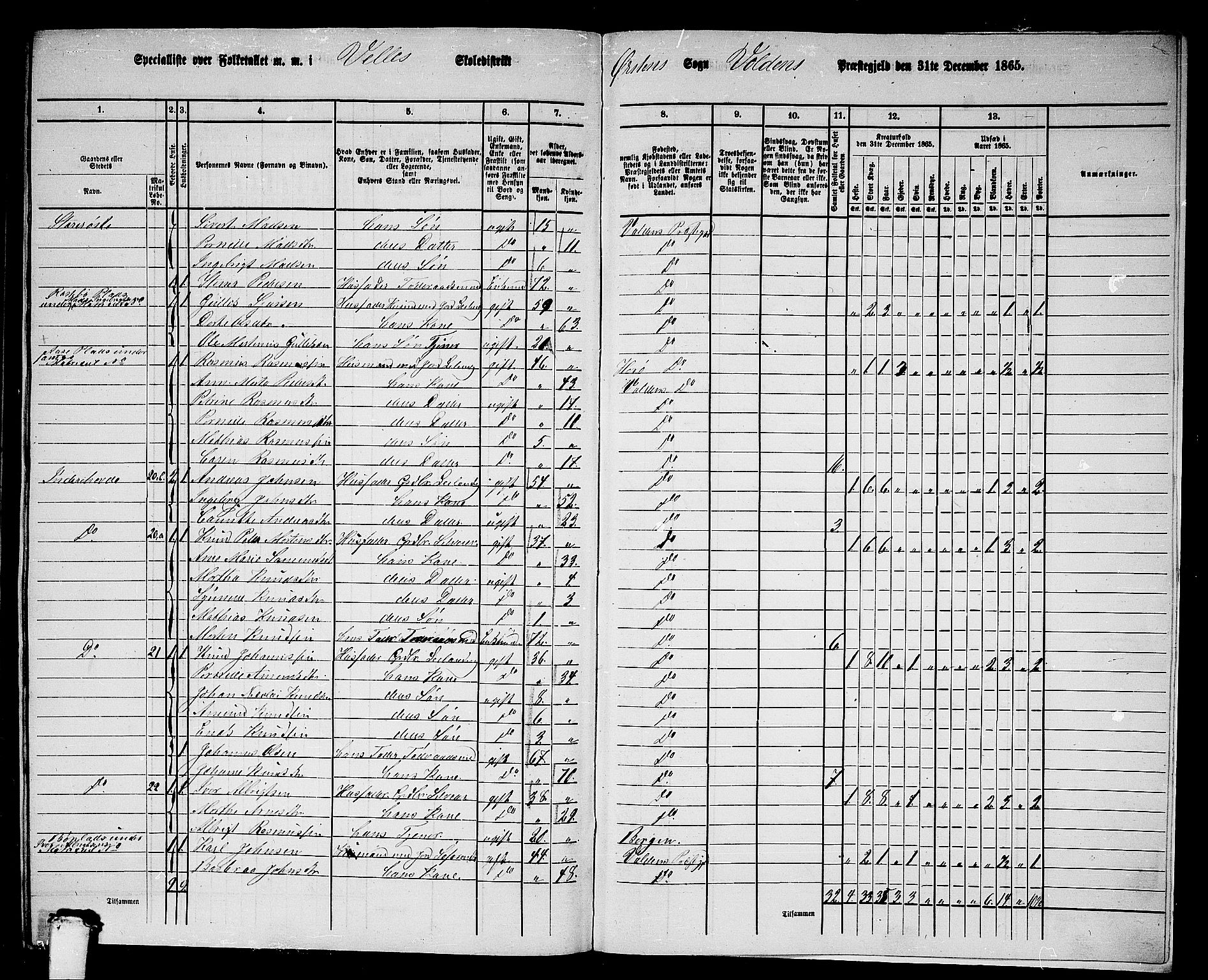 RA, 1865 census for Volda, 1865, p. 193