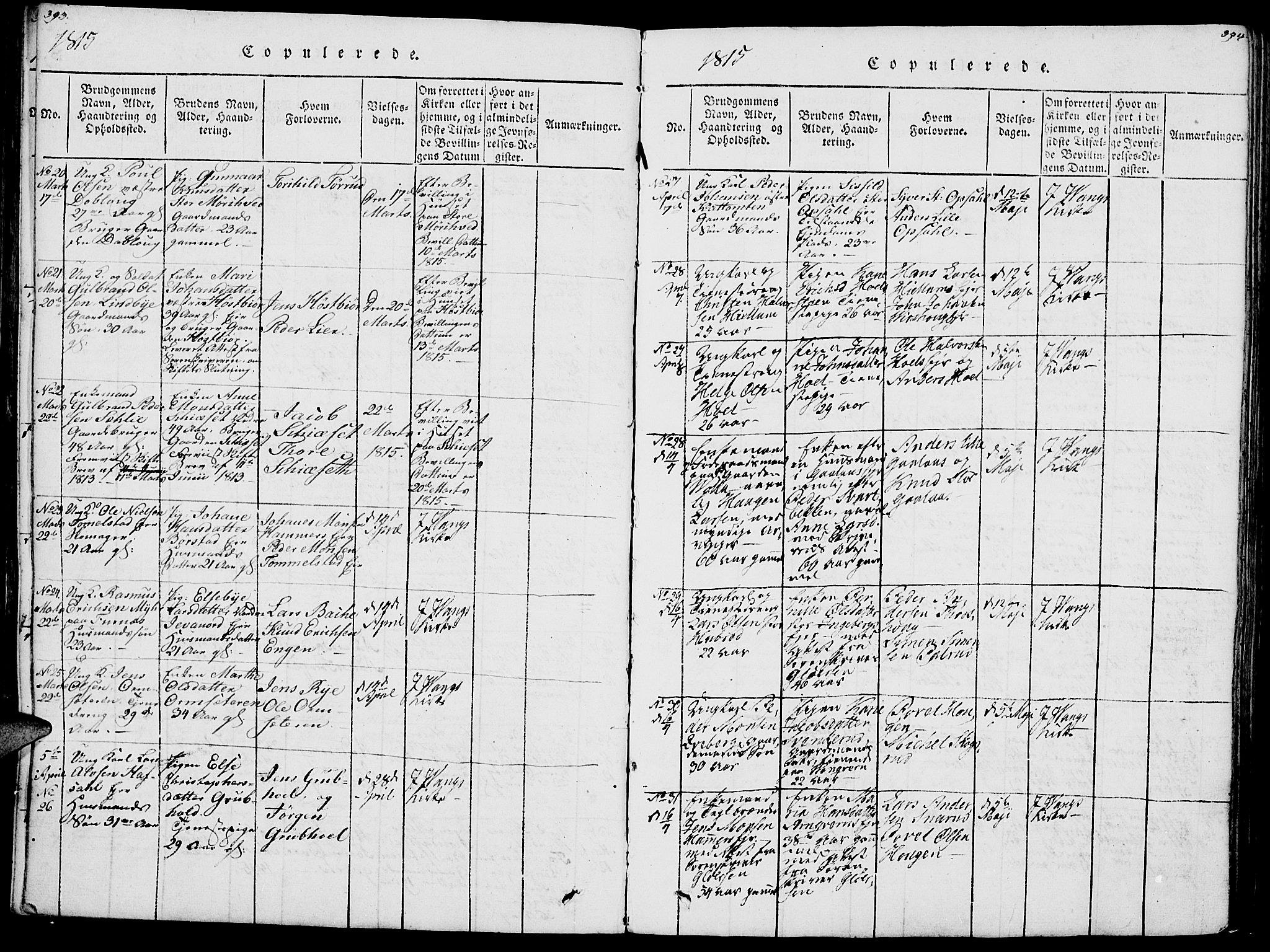 Vang prestekontor, Hedmark, AV/SAH-PREST-008/H/Ha/Haa/L0007: Parish register (official) no. 7, 1813-1826, p. 393-394