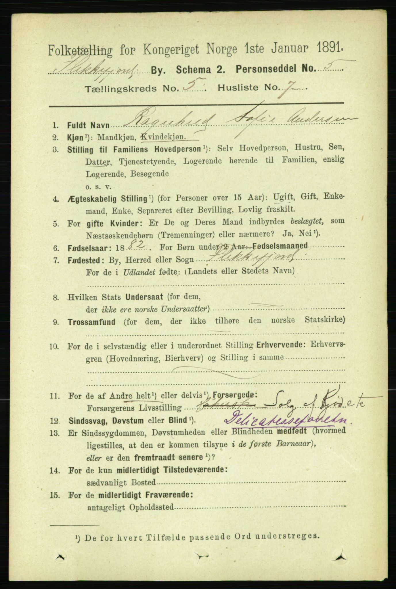 RA, 1891 census for 1004 Flekkefjord, 1891, p. 1156