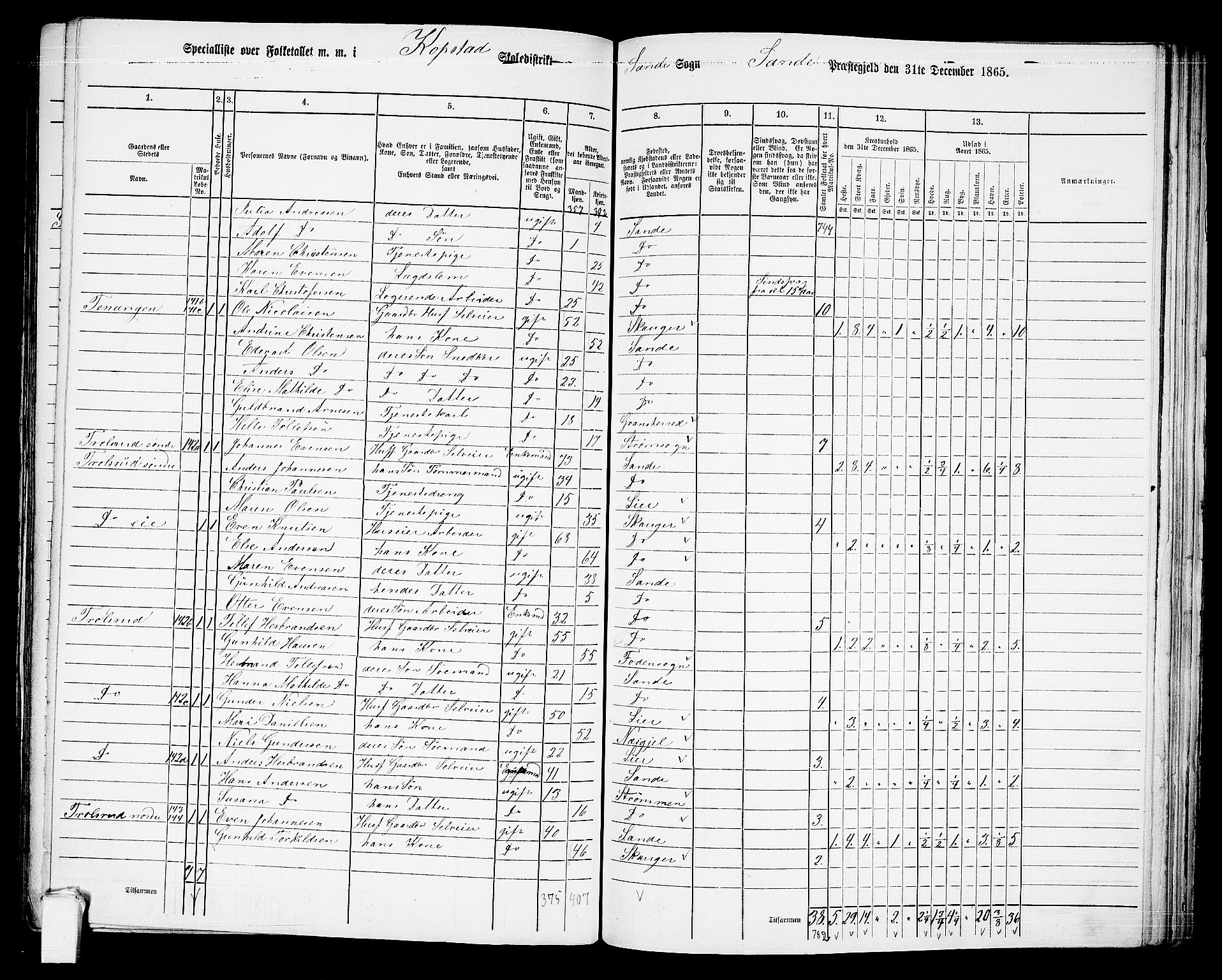 RA, 1865 census for Sande, 1865, p. 84