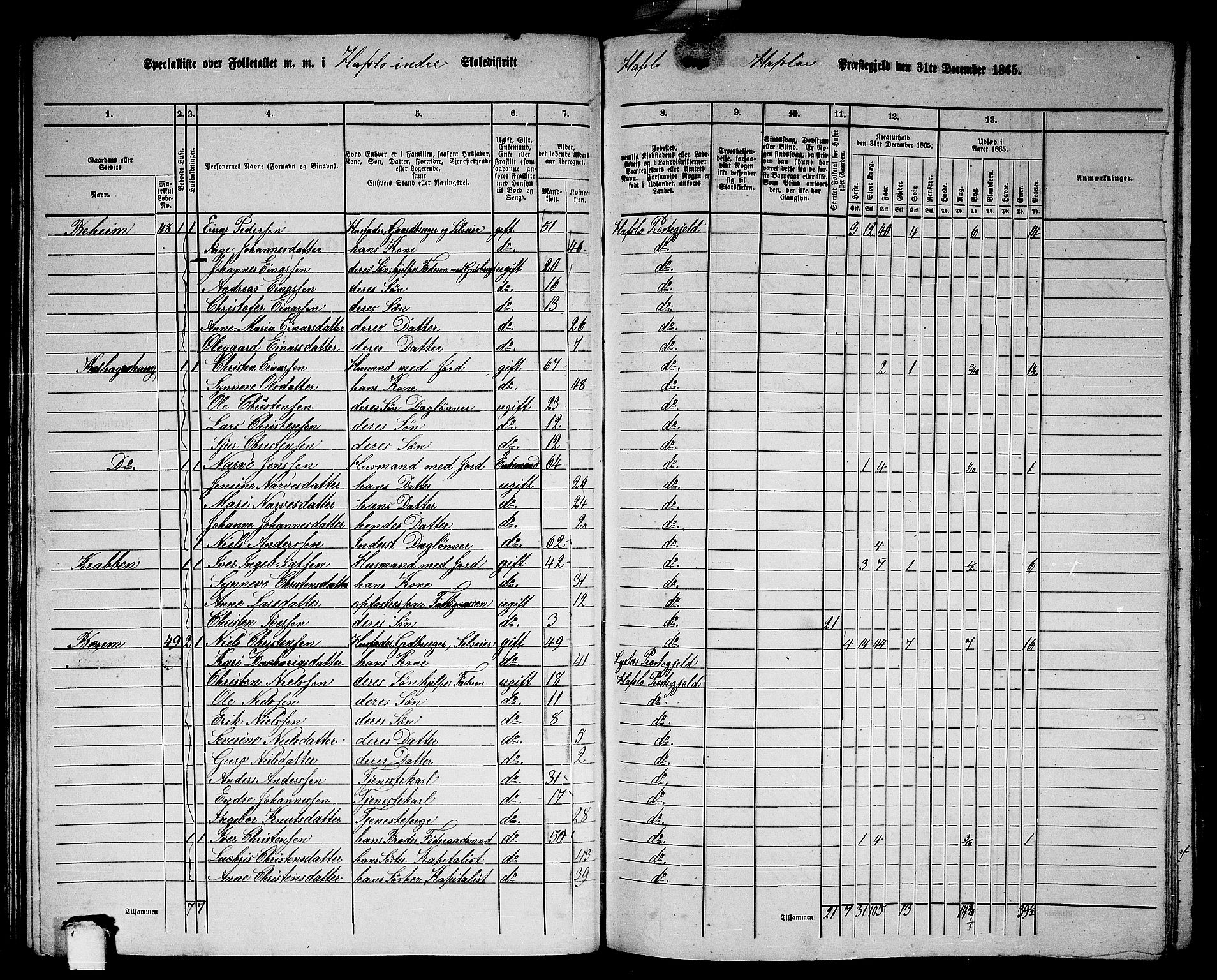 RA, 1865 census for Hafslo, 1865, p. 43