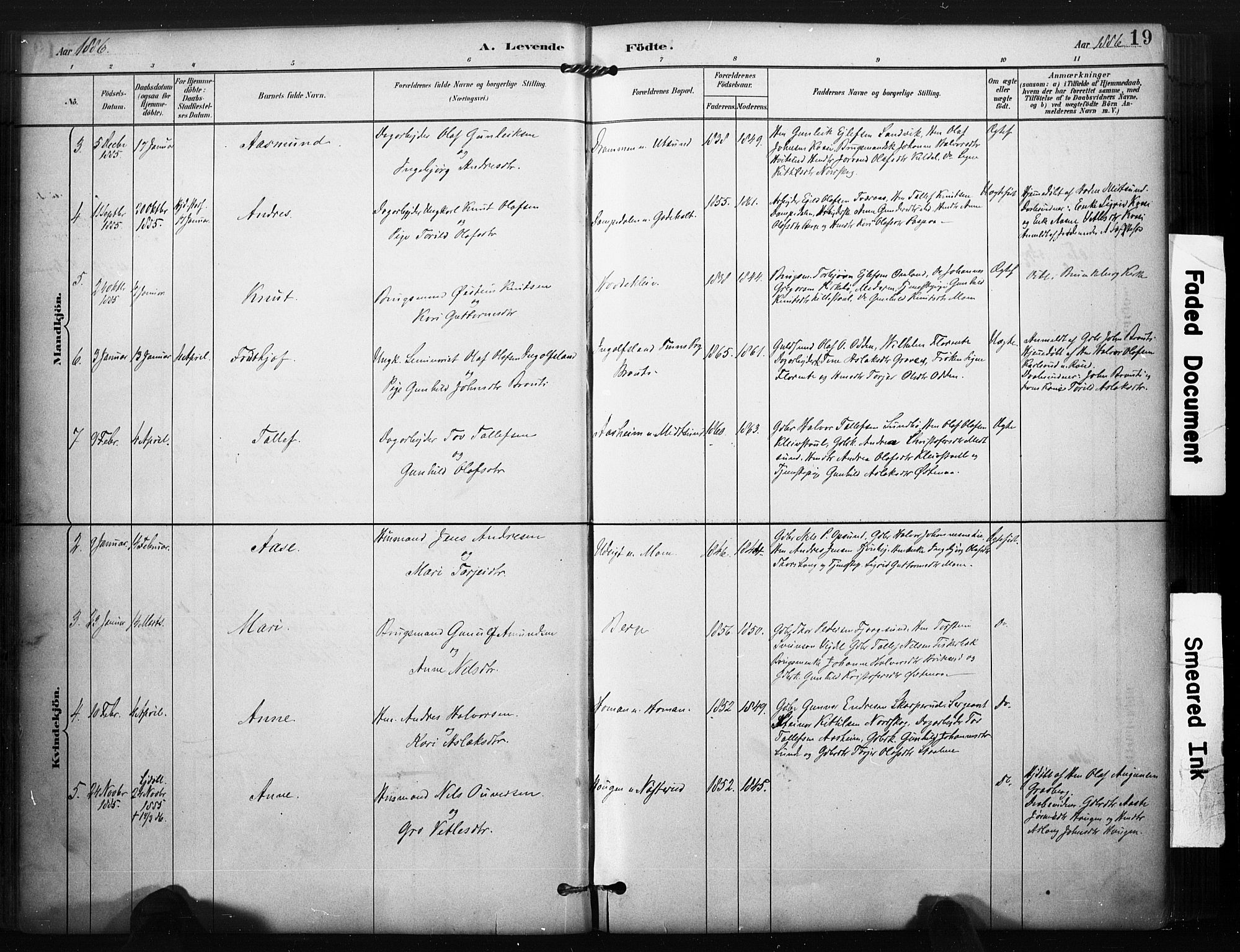 Kviteseid kirkebøker, AV/SAKO-A-276/F/Fa/L0008: Parish register (official) no. I 8, 1882-1903, p. 19