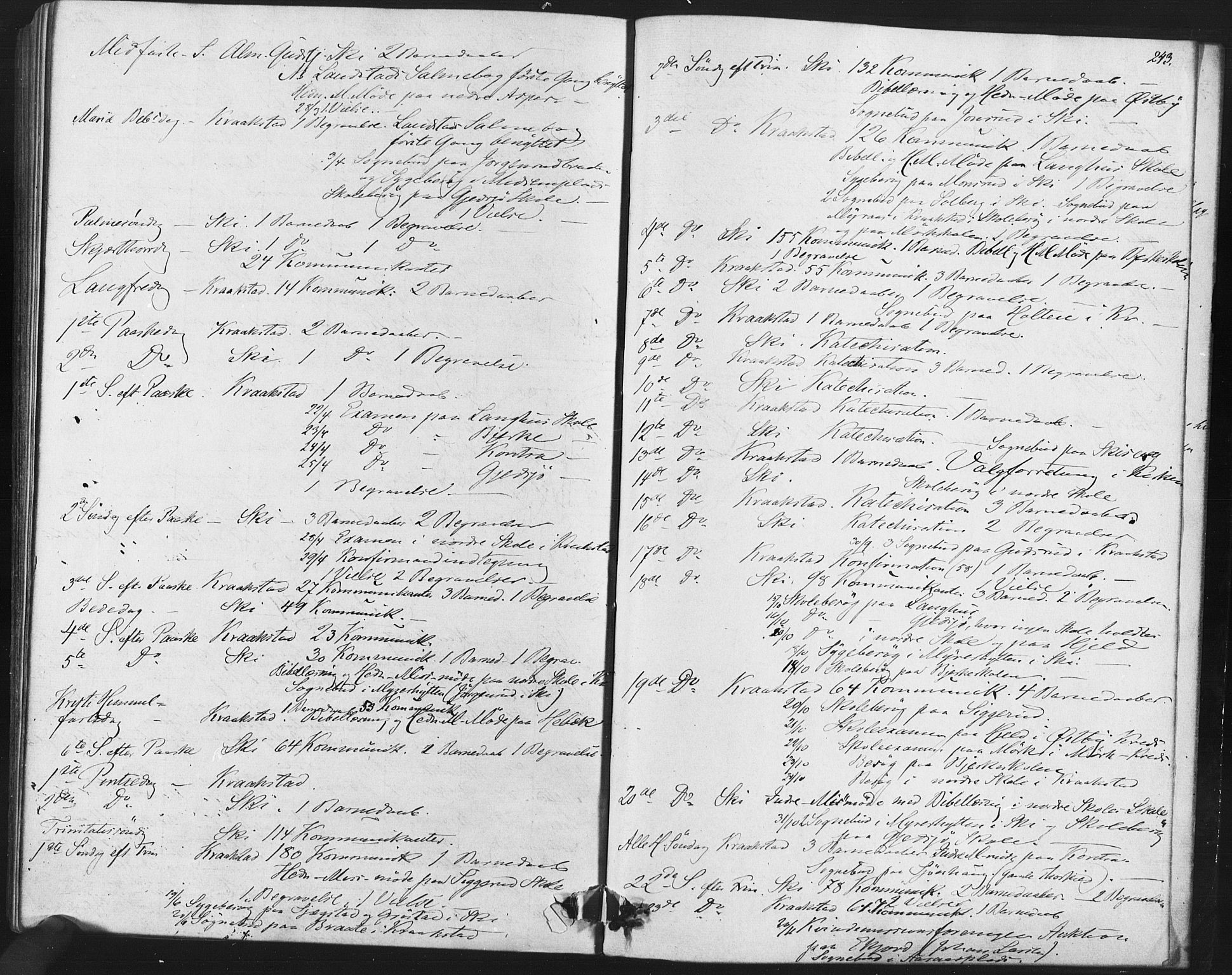Kråkstad prestekontor Kirkebøker, SAO/A-10125a/F/Fa/L0008: Parish register (official) no. I 8, 1870-1879, p. 243