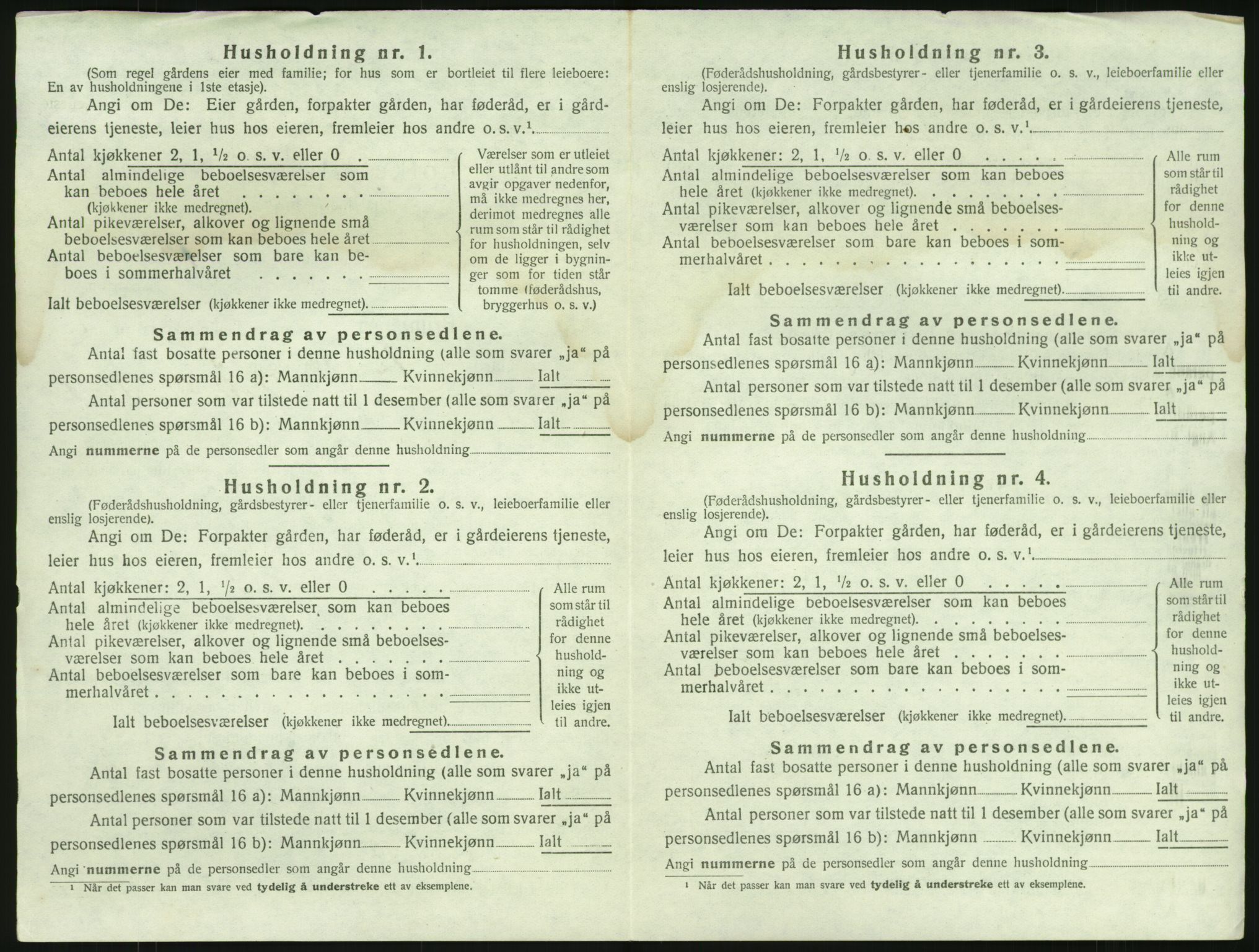 SAKO, 1920 census for Brunlanes, 1920, p. 308