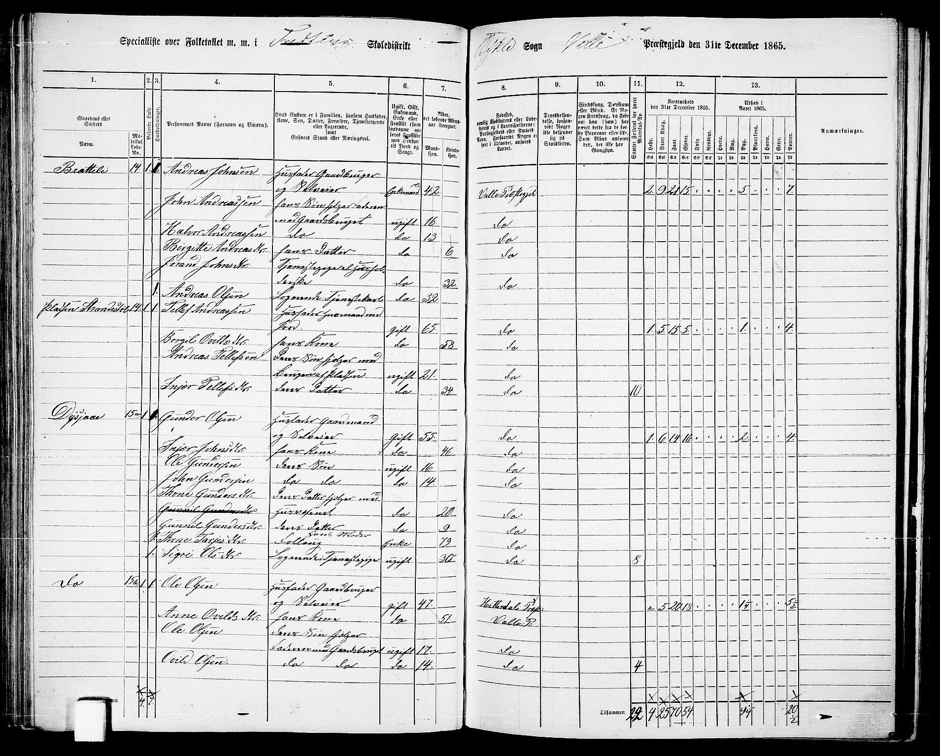 RA, 1865 census for Valle, 1865, p. 92