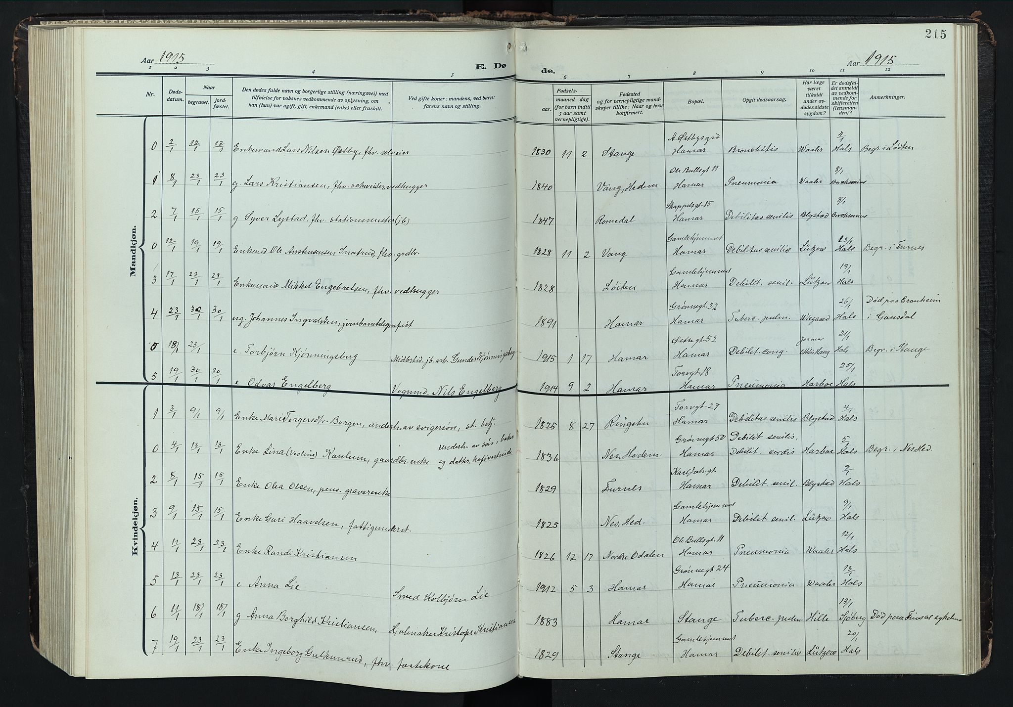 Hamar prestekontor, SAH/DOMPH-002/H/Ha/Hab/L0004: Parish register (copy) no. 4, 1915-1942, p. 215