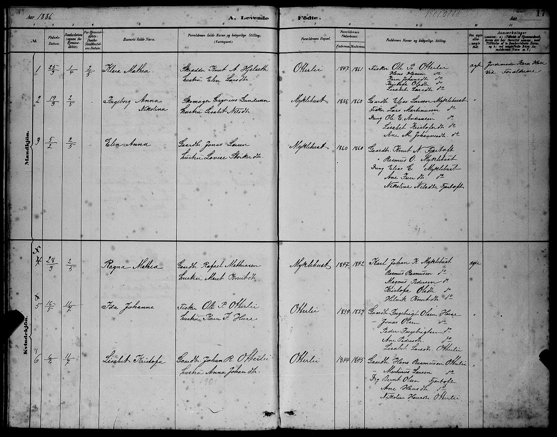 Ministerialprotokoller, klokkerbøker og fødselsregistre - Møre og Romsdal, SAT/A-1454/538/L0523: Parish register (copy) no. 538C01, 1881-1900, p. 17