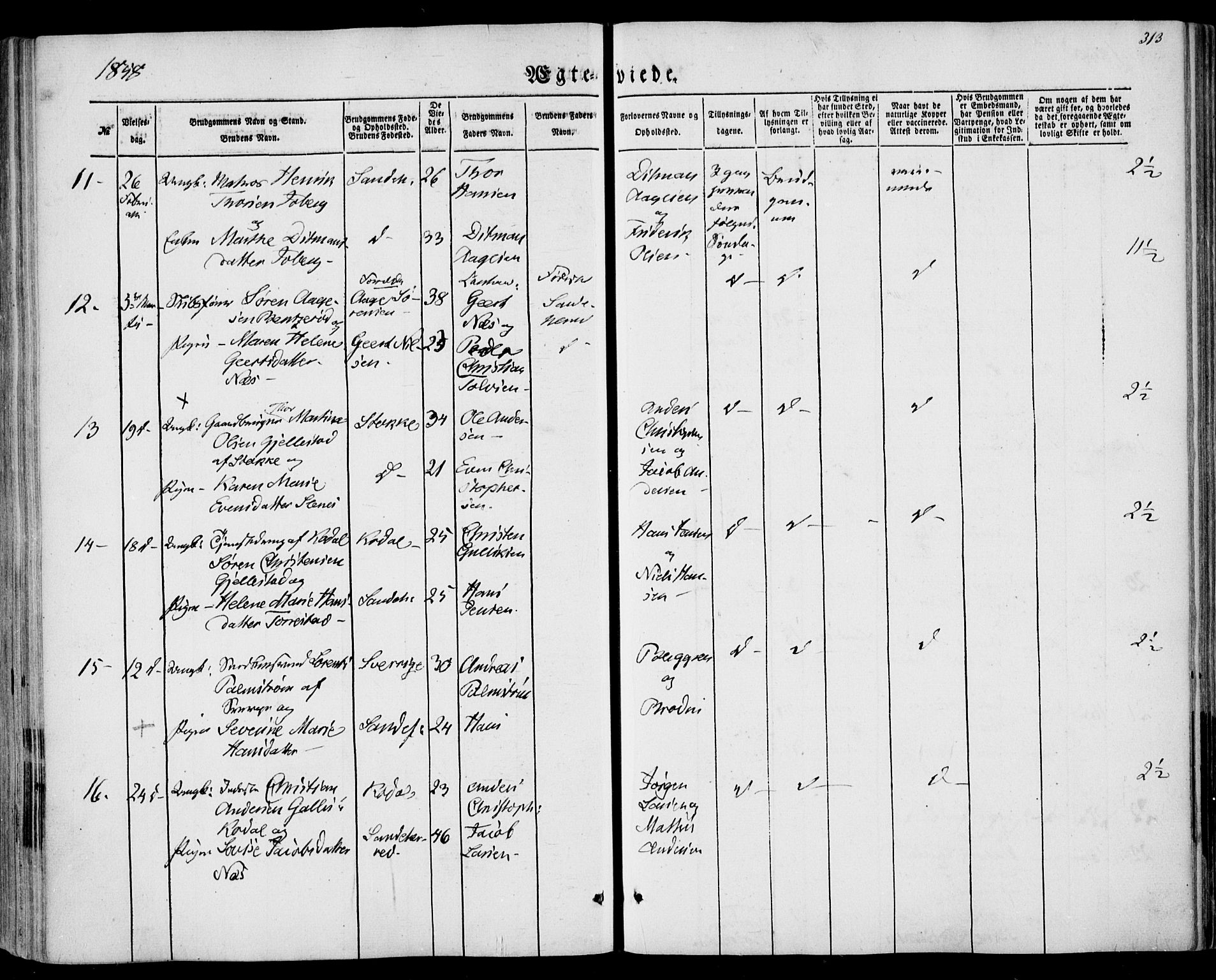 Sandar kirkebøker, SAKO/A-243/F/Fa/L0007: Parish register (official) no. 7, 1855-1861, p. 313