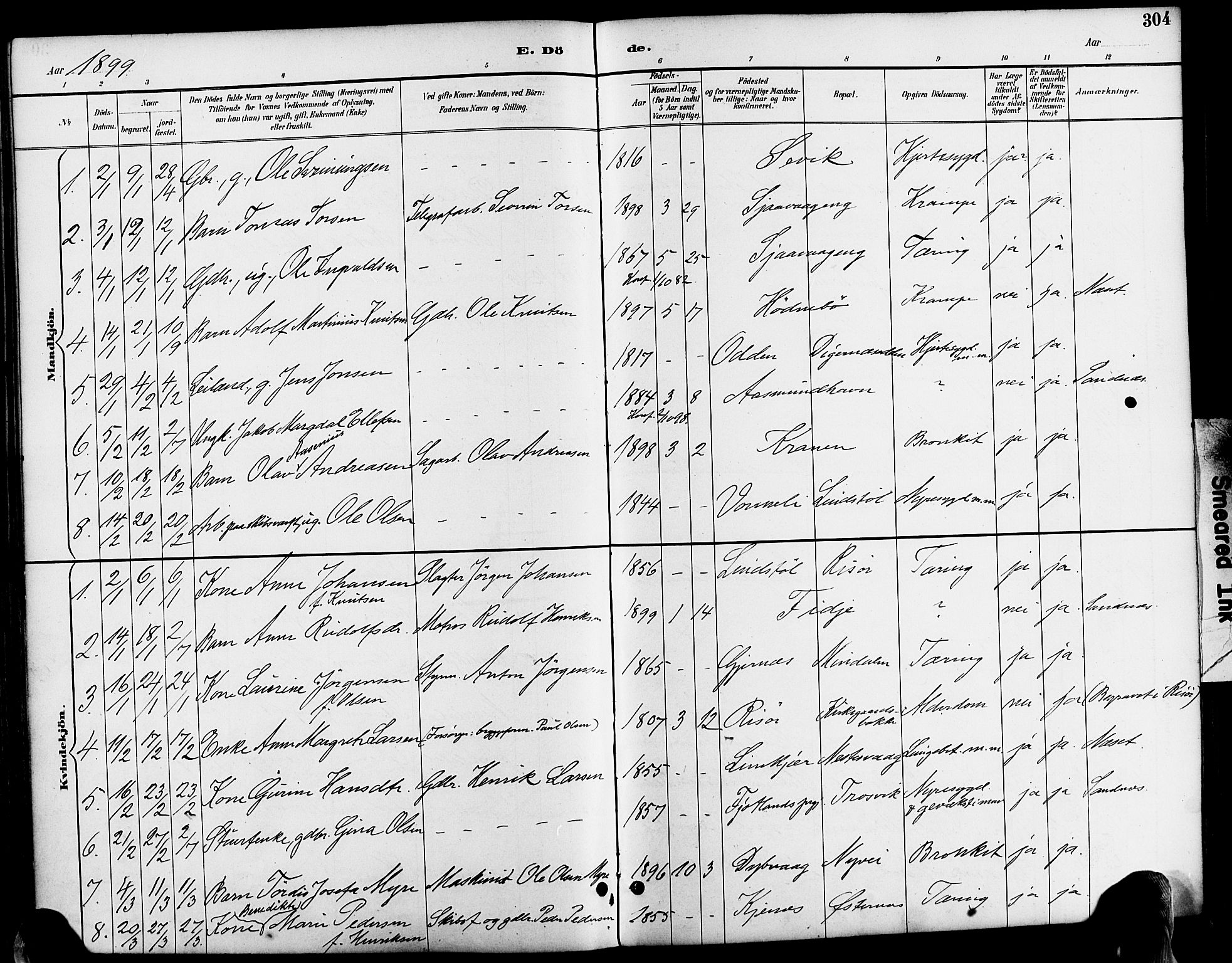 Søndeled sokneprestkontor, AV/SAK-1111-0038/F/Fa/L0005: Parish register (official) no. A 5, 1889-1899, p. 304