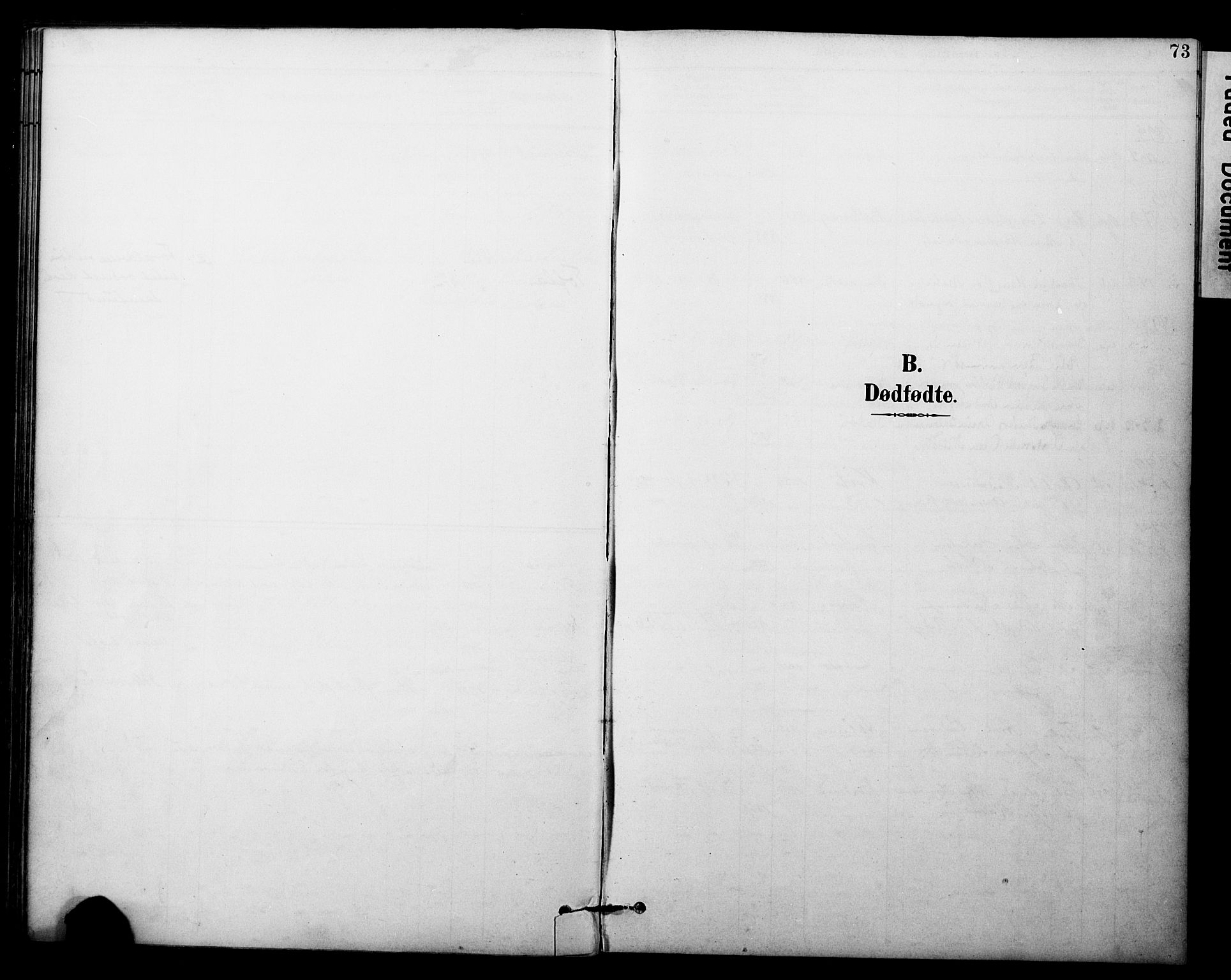 Sand/Bjarkøy sokneprestkontor, SATØ/S-0811/I/Ia/Iaa/L0004kirke: Parish register (official) no. 4, 1893-1904, p. 73