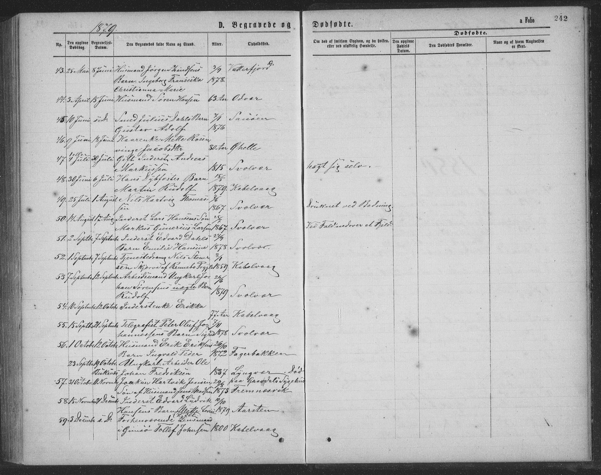 Ministerialprotokoller, klokkerbøker og fødselsregistre - Nordland, AV/SAT-A-1459/874/L1075: Parish register (copy) no. 874C04, 1876-1883, p. 242