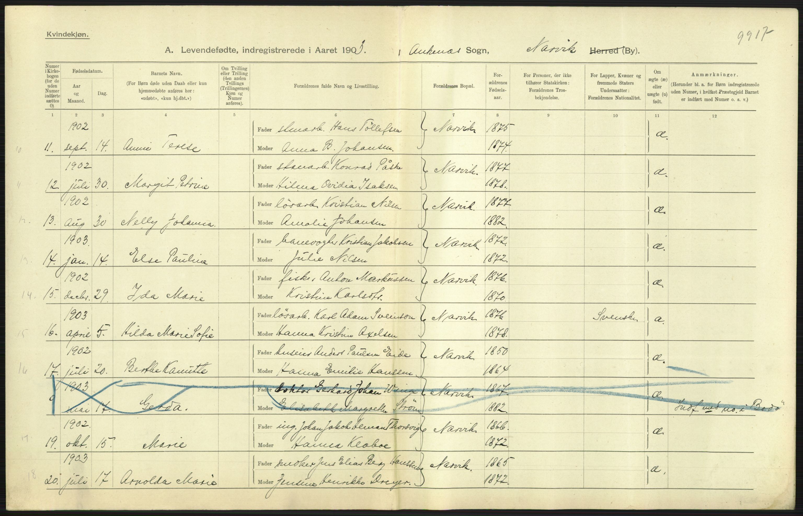 Statistisk sentralbyrå, Sosiodemografiske emner, Befolkning, AV/RA-S-2228/D/Df/Dfa/Dfaa/L0019: Nordlands amt: Fødte, gifte, døde., 1903, p. 27