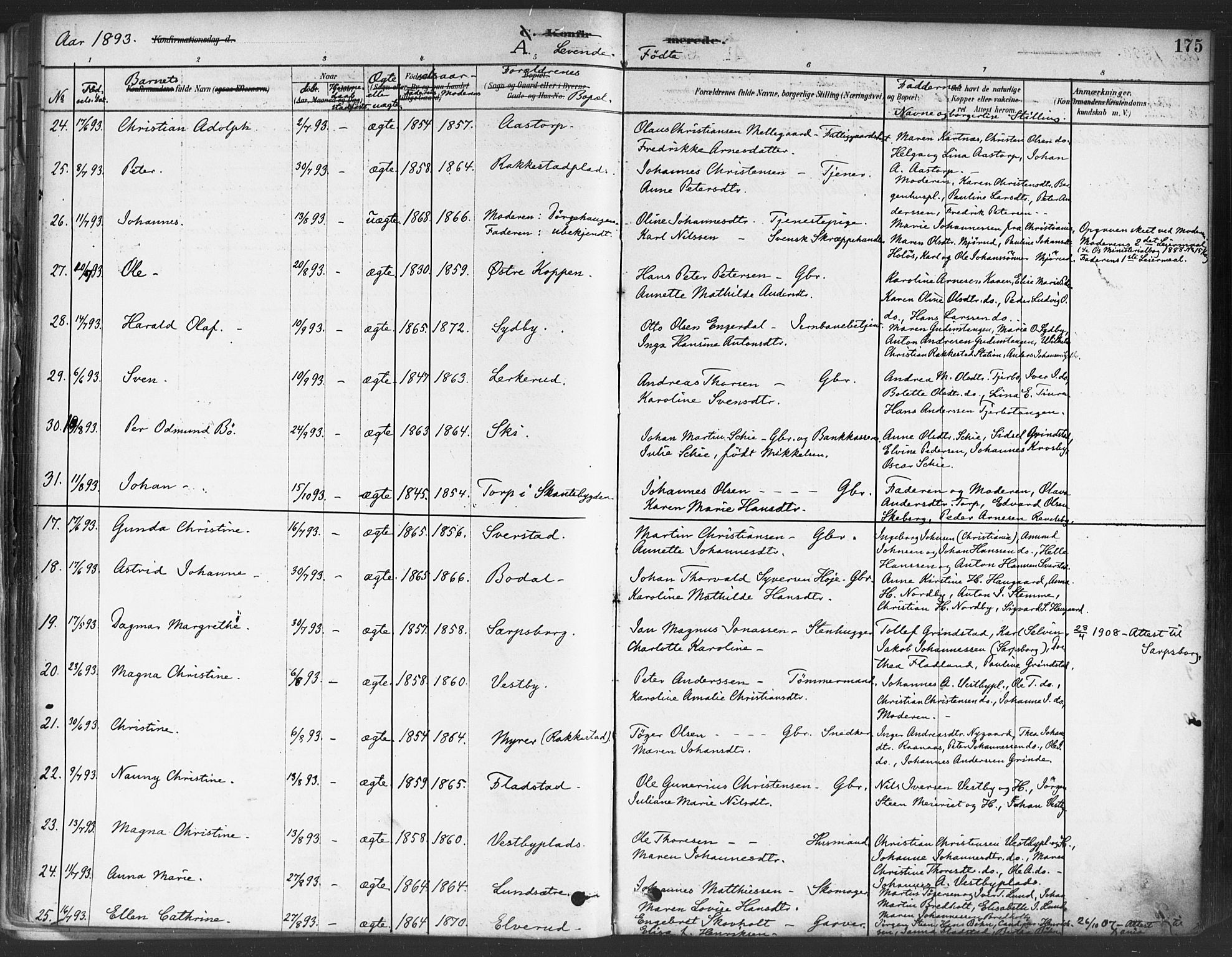 Rakkestad prestekontor Kirkebøker, AV/SAO-A-2008/F/Fa/L0012: Parish register (official) no. I 12, 1878-1893, p. 175