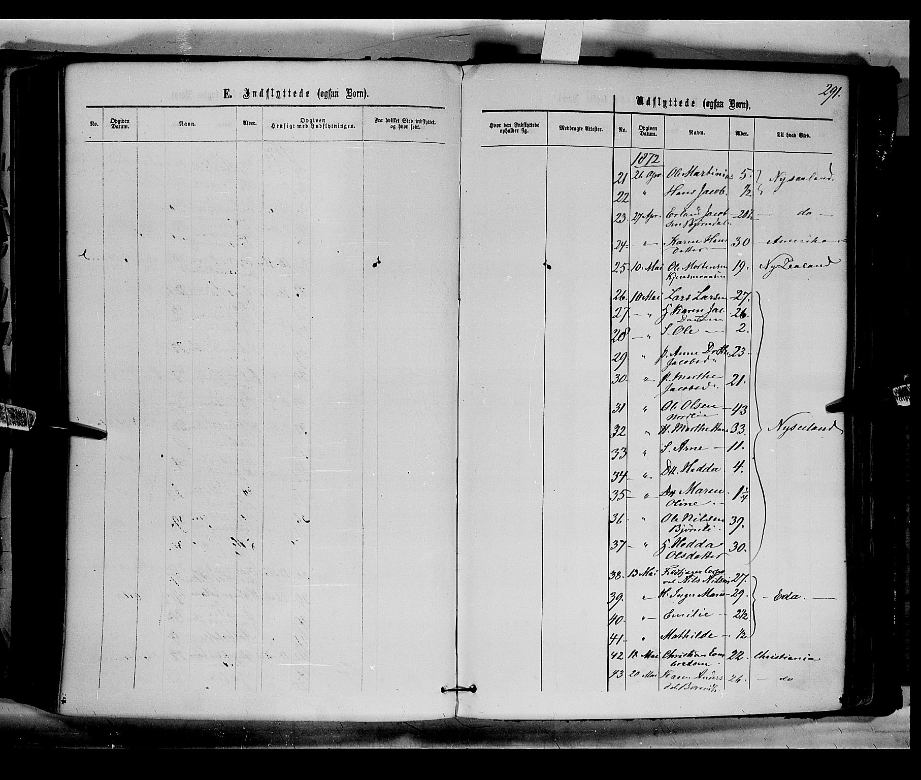 Eidskog prestekontor, AV/SAH-PREST-026/H/Ha/Haa/L0002: Parish register (official) no. 2, 1867-1878, p. 291