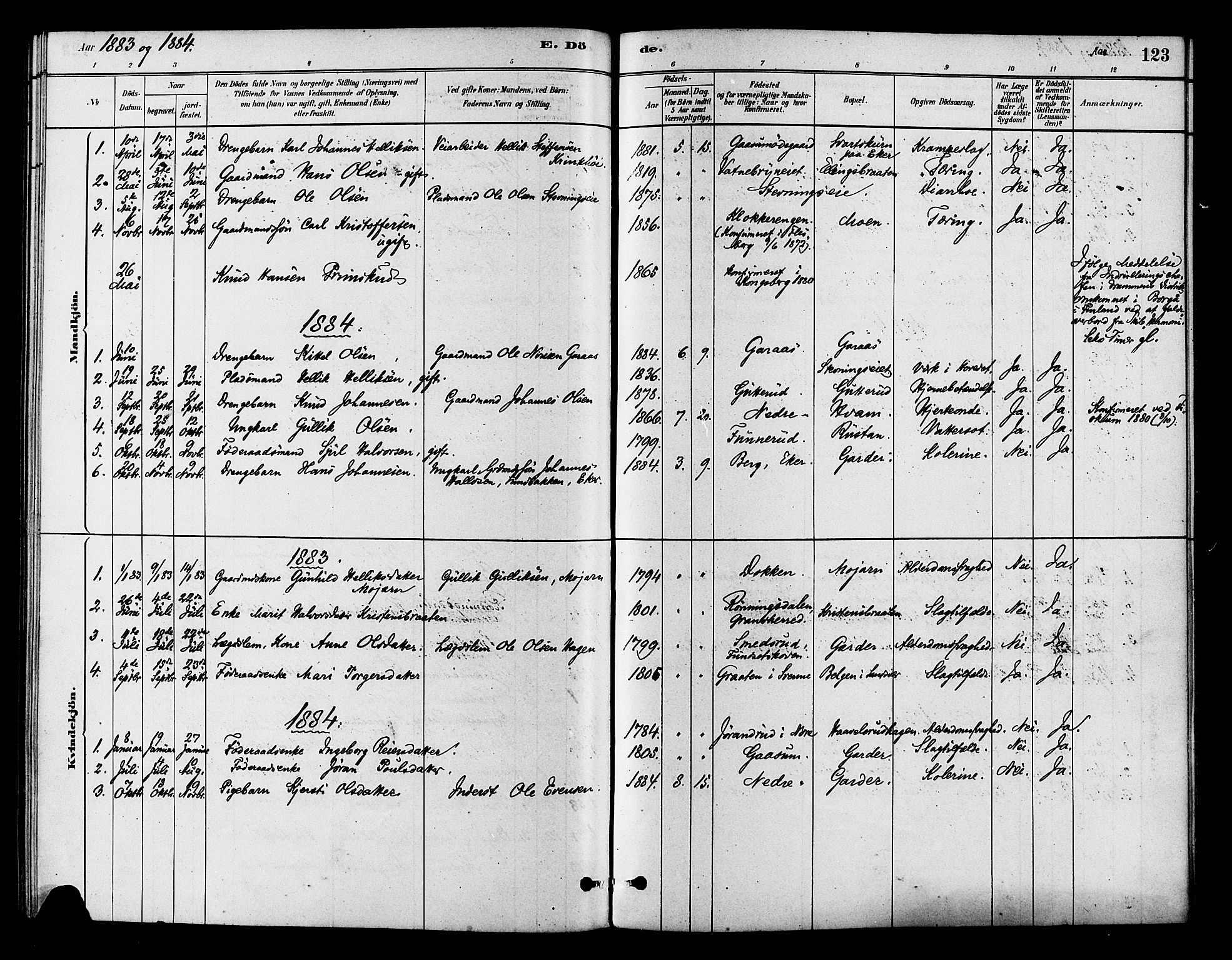 Flesberg kirkebøker, AV/SAKO-A-18/F/Fb/L0001: Parish register (official) no. II 1, 1879-1907, p. 123