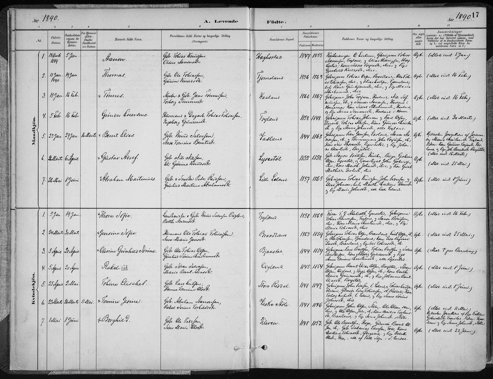 Nord-Audnedal sokneprestkontor, AV/SAK-1111-0032/F/Fa/Fab/L0003: Parish register (official) no. A 3, 1882-1900, p. 17